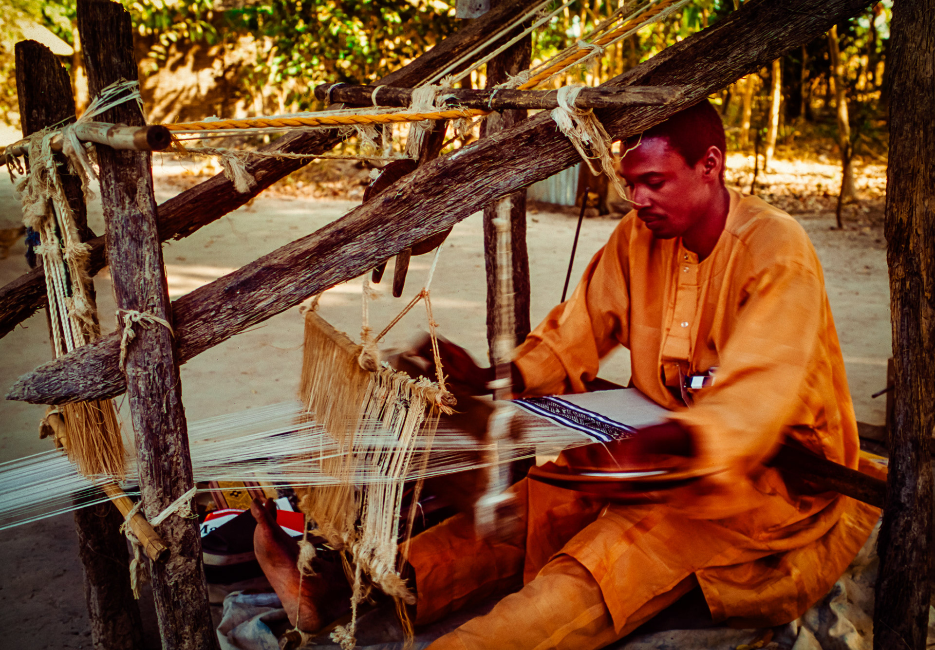 Village Weaver, Gambia