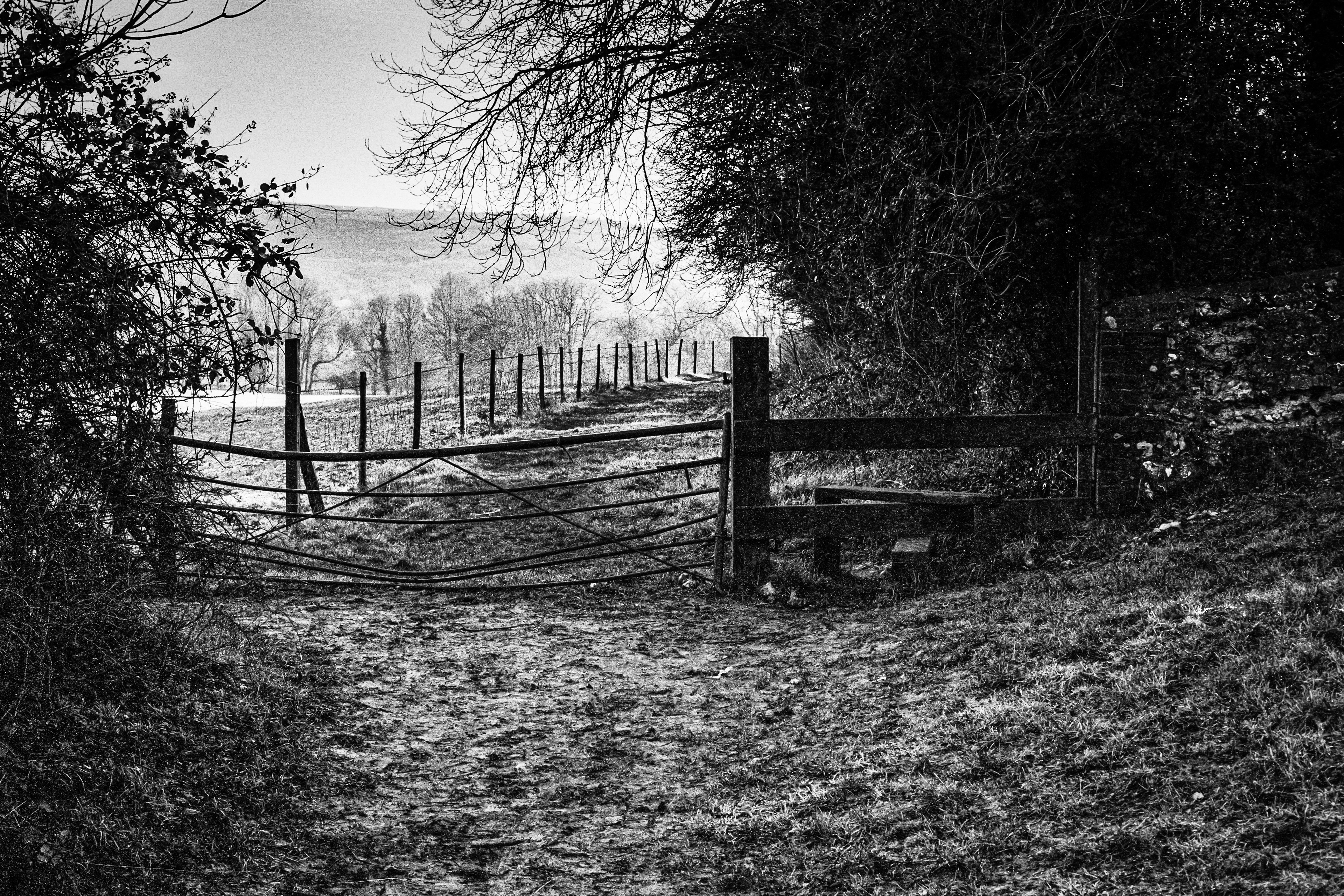 South Downs National Park