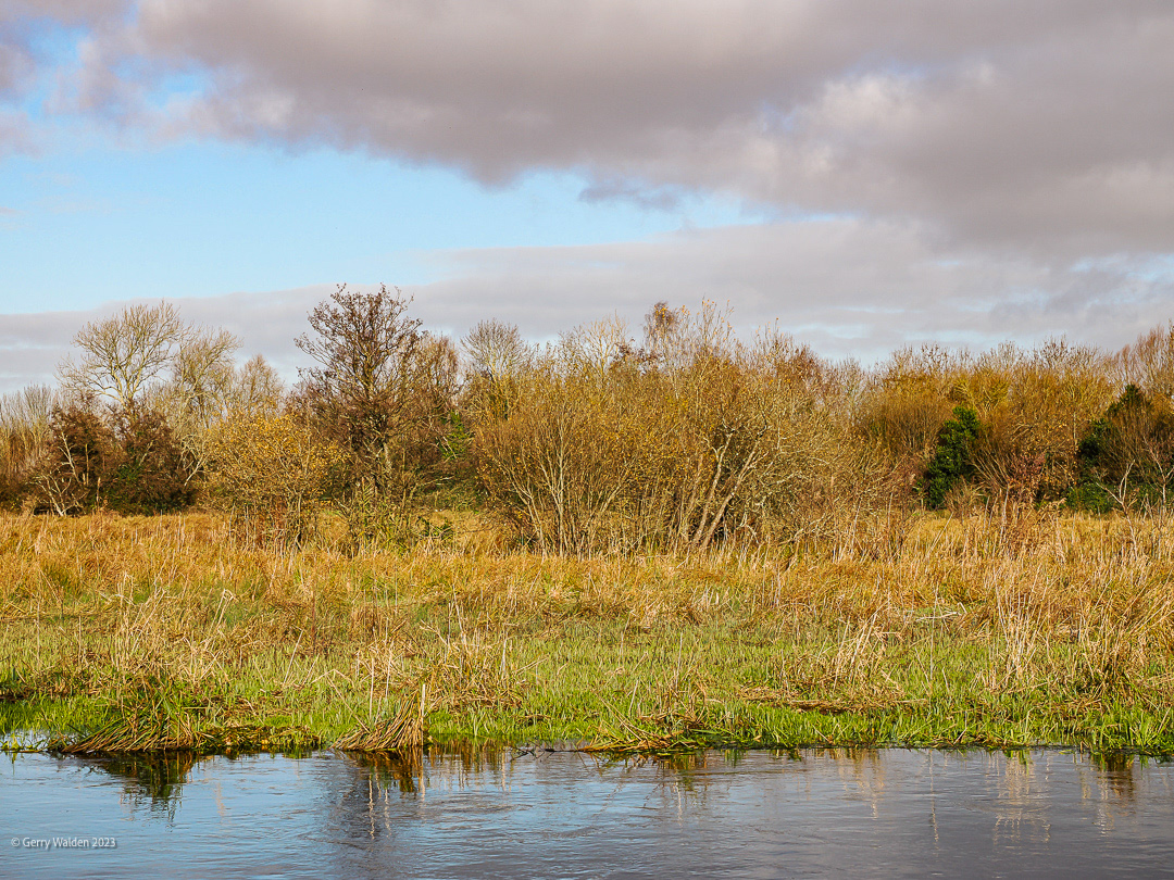 The Water Meadows
