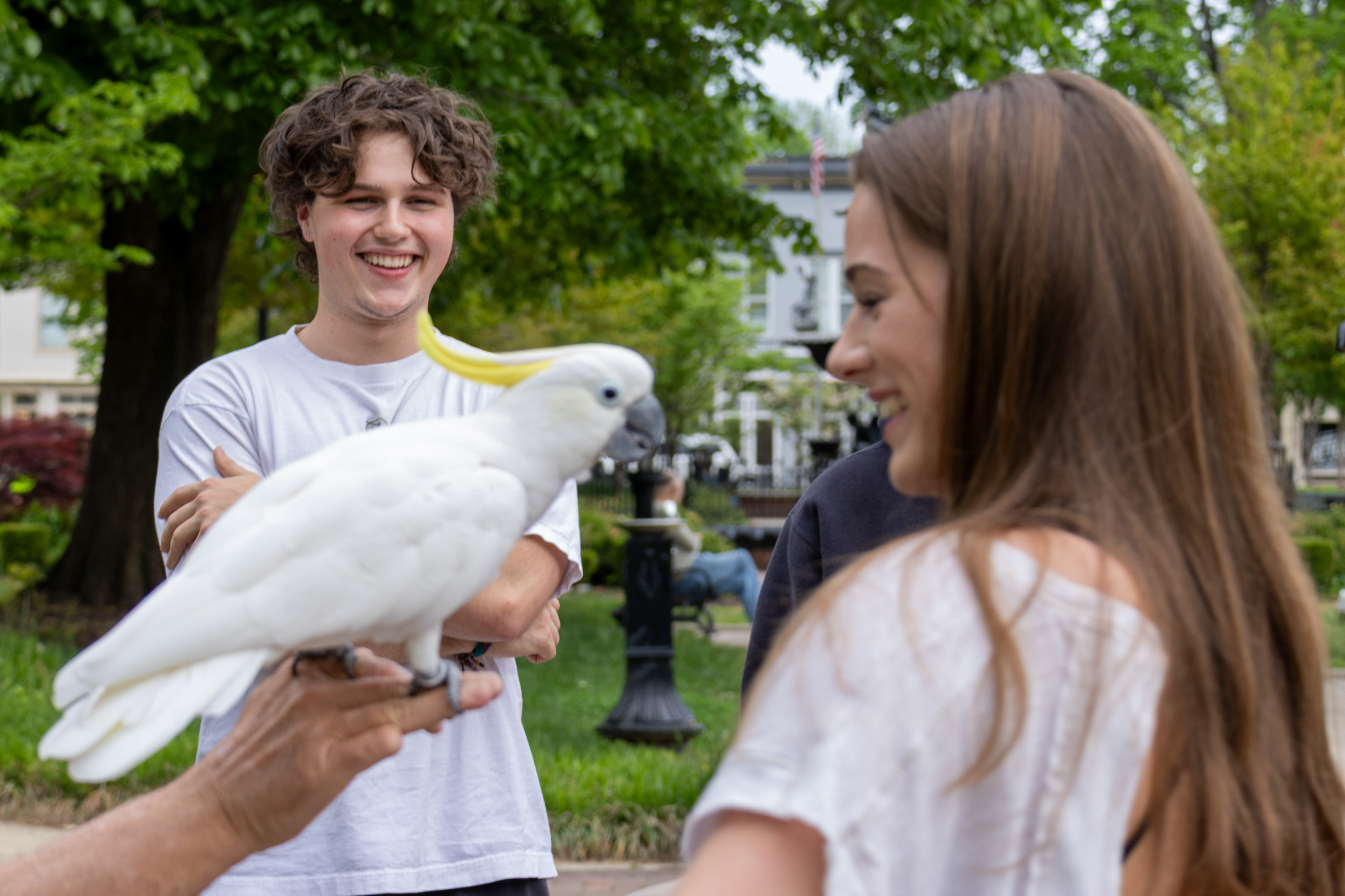 Western Kentucky University students meet Samson the bird at Fountain Square park on a sunny afternoon.