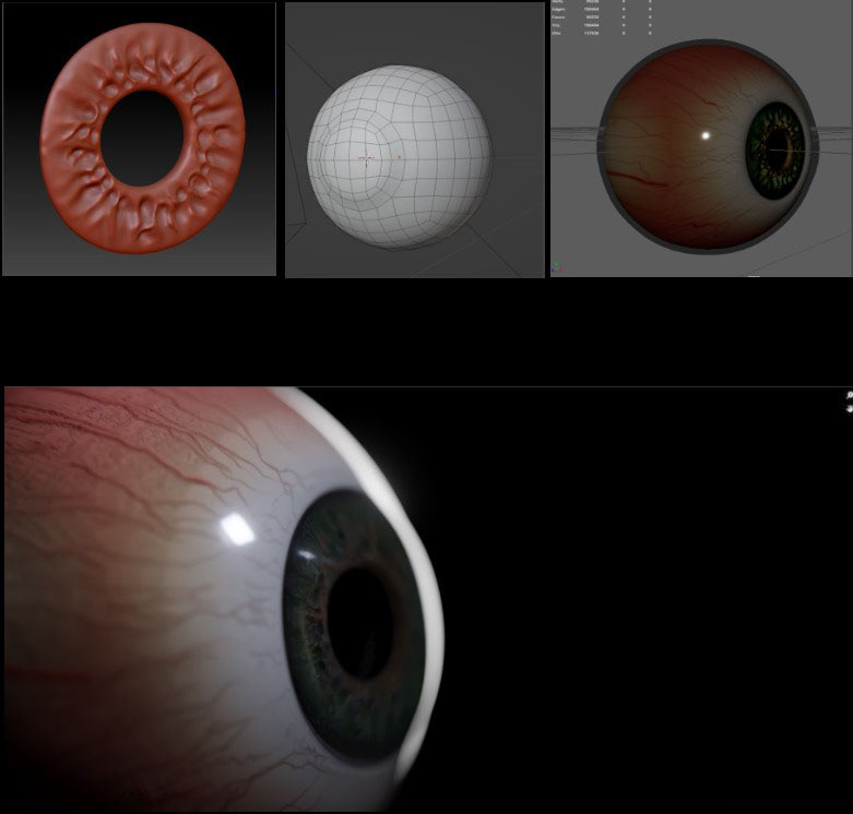 Eye Model Breakdown