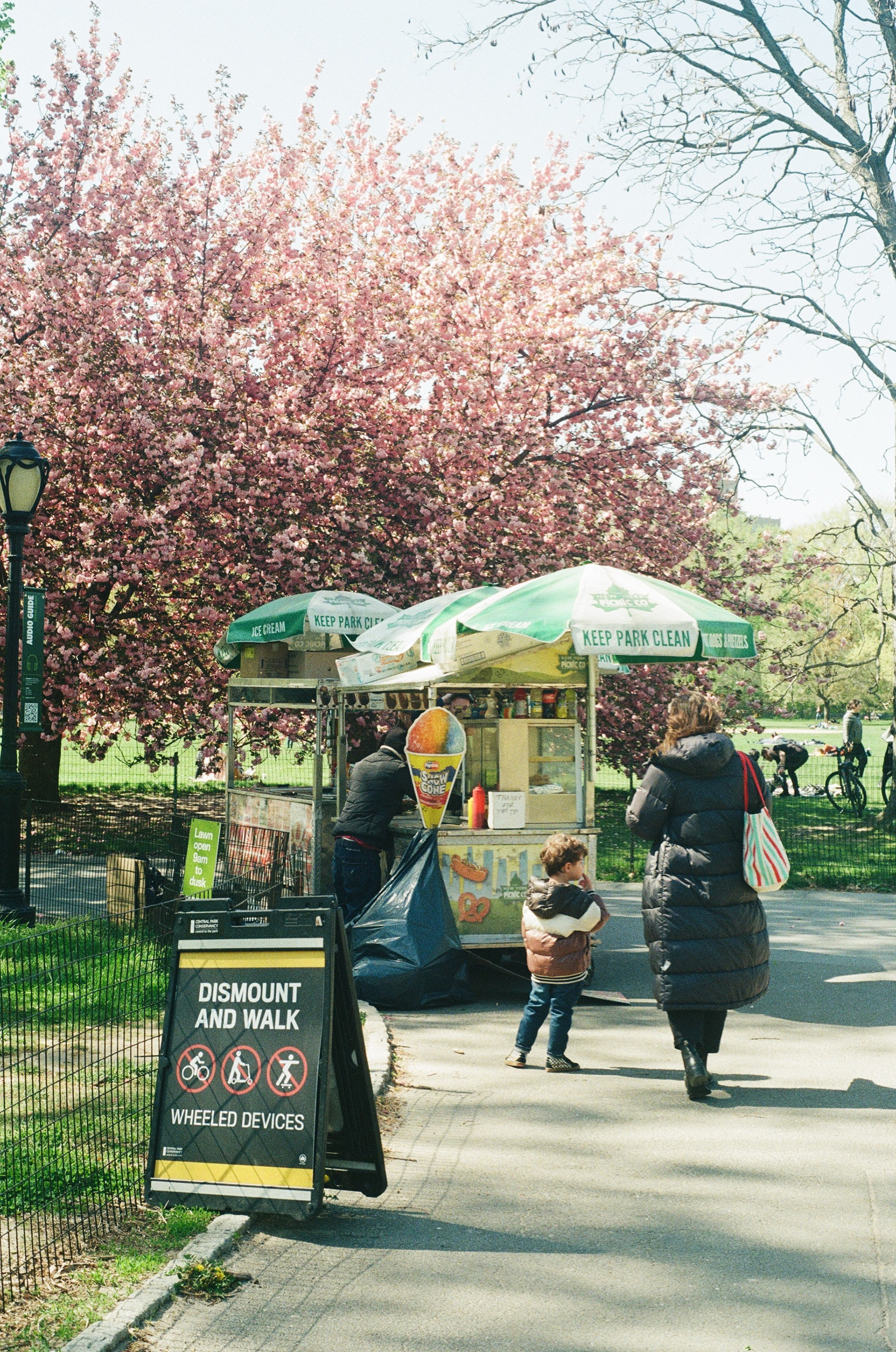Central Park on 35mm
