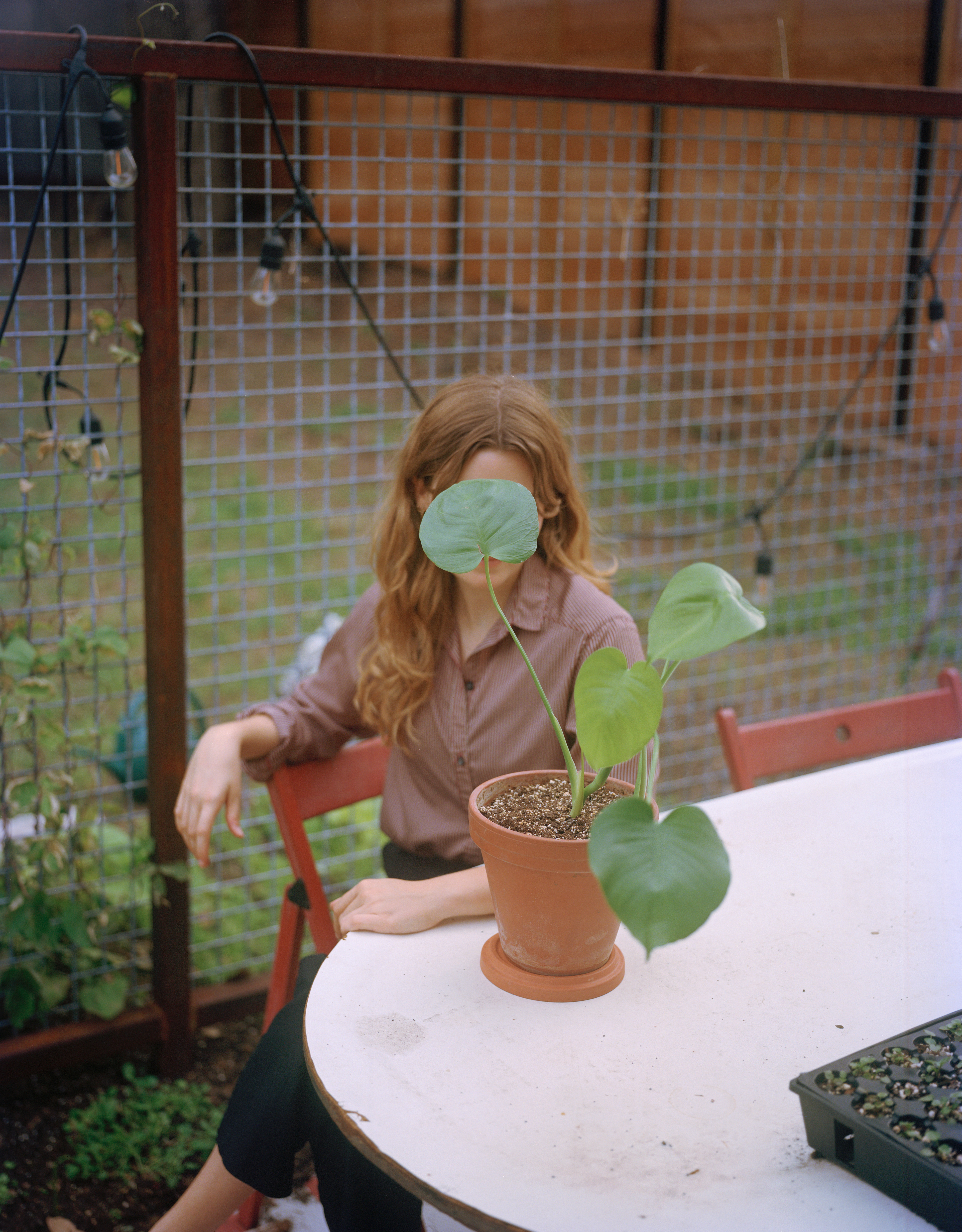 Hayley on 4x5 sheet film