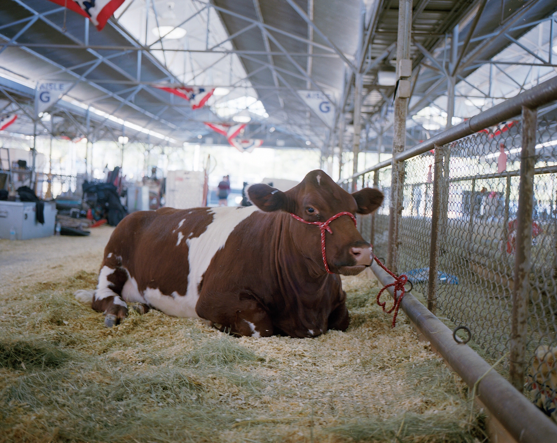 Texas State Fair on 120 film