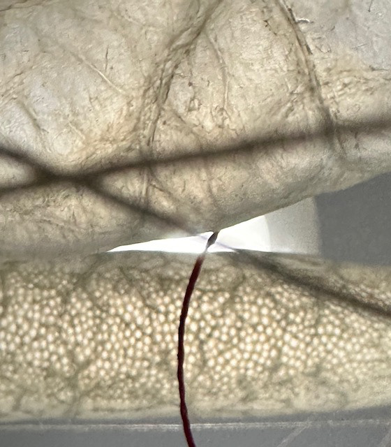Close up of texture of gut