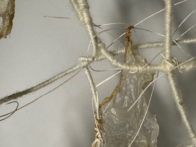 Detail of orbs of light showing wool wrapped wire and gut with cotton wrap