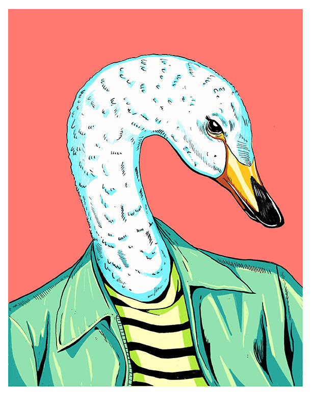Mr.Swan