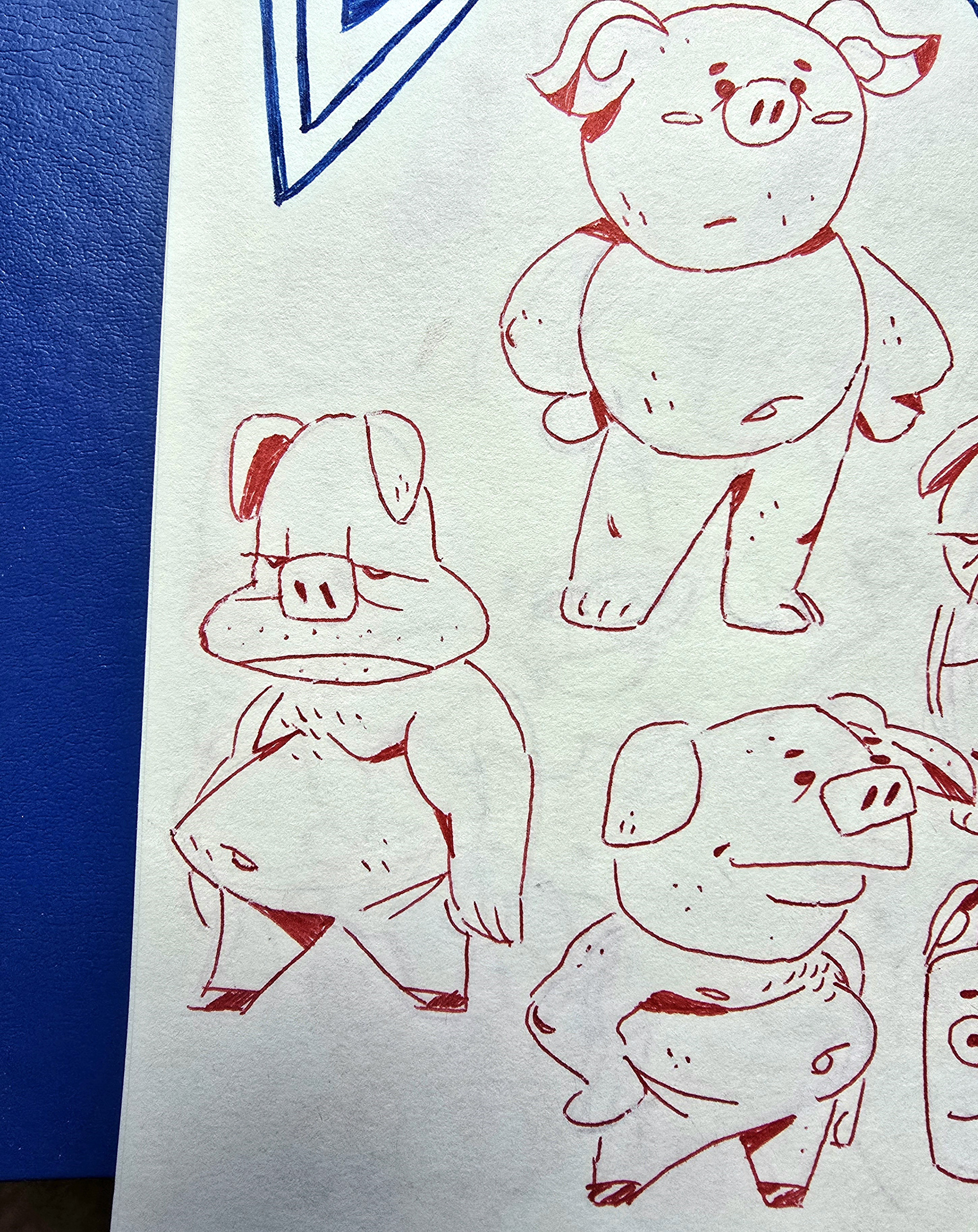 Pig