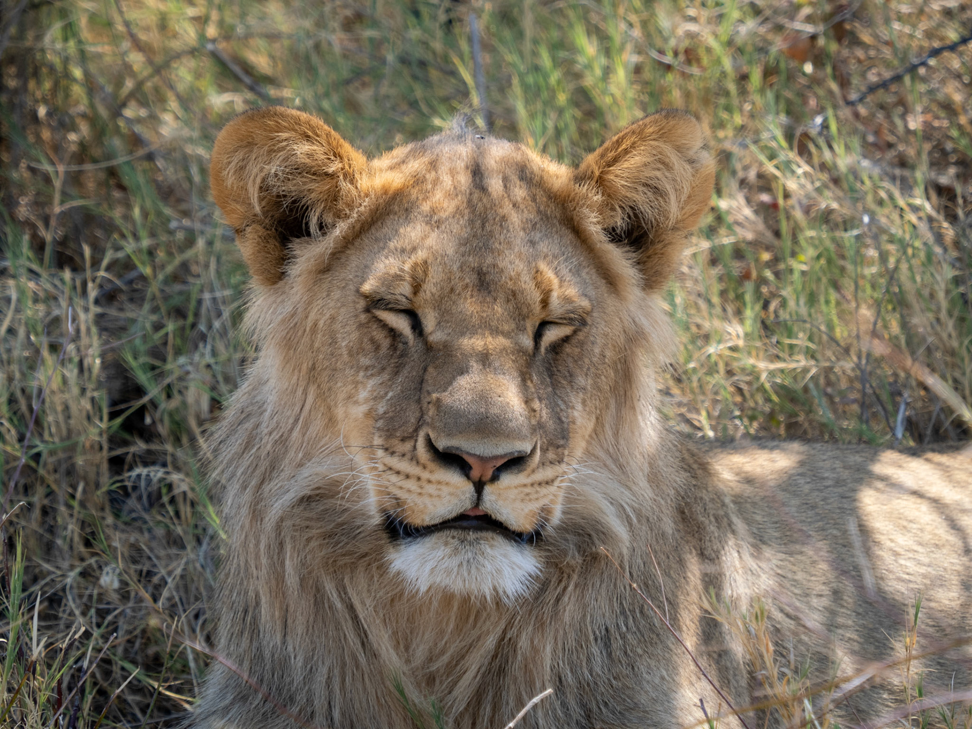 Kalahari, Botswana