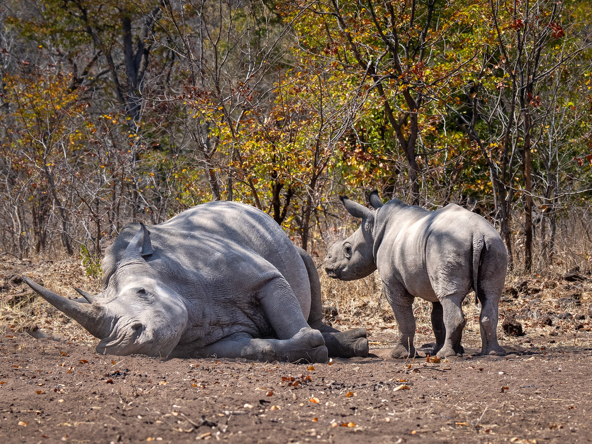 Mosi-oa-Tunya National Park , Zambia
