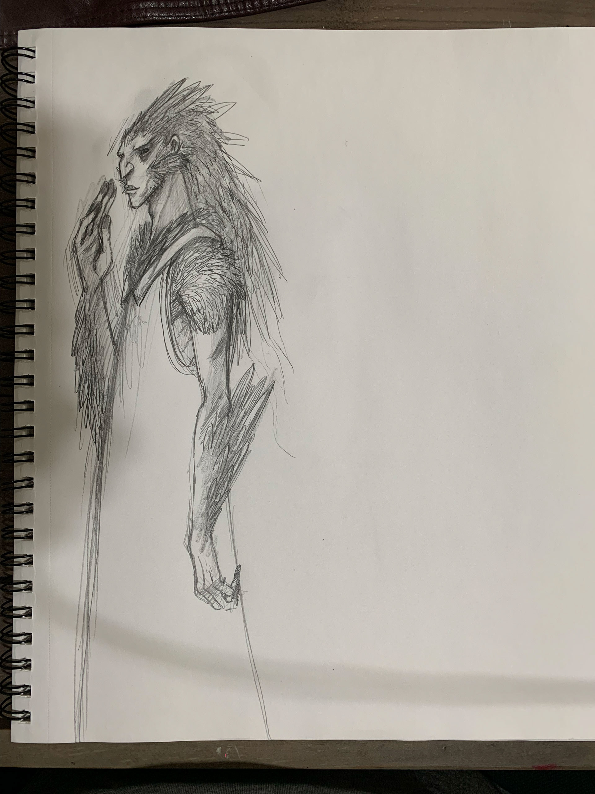 SKETCHES