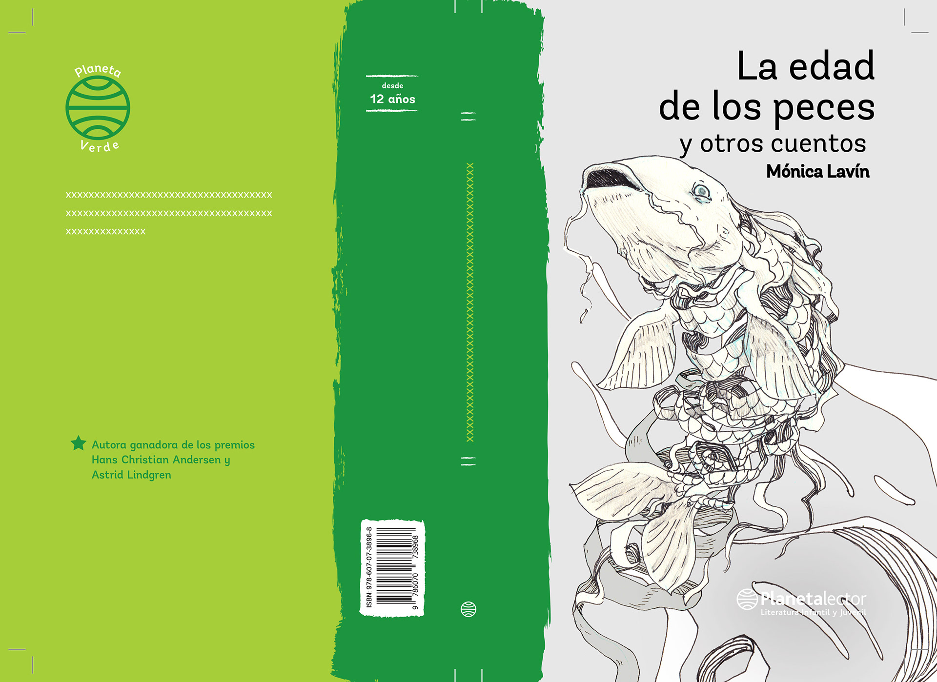 Layout y boceto