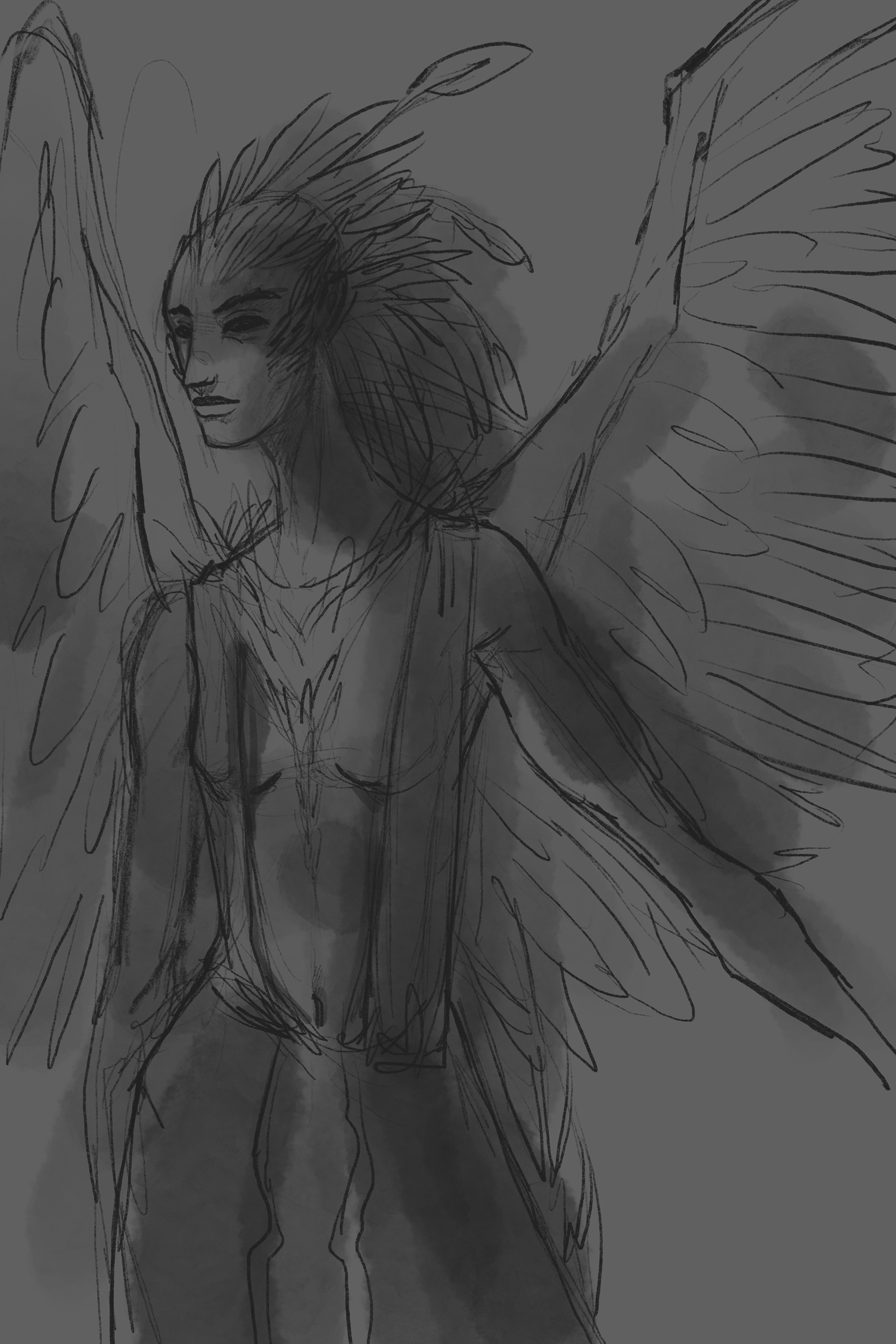 SKETCHES