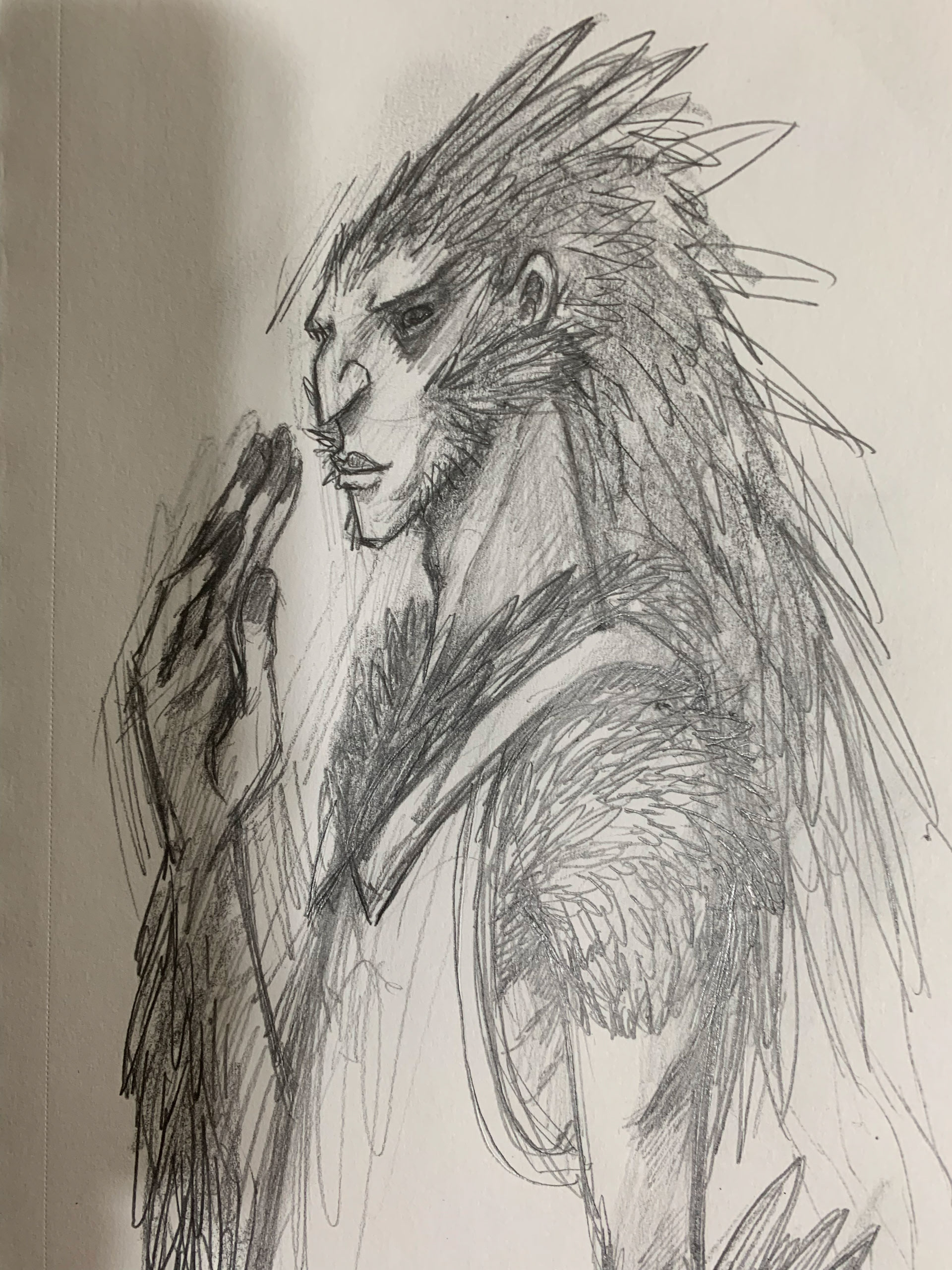 SKETCHES