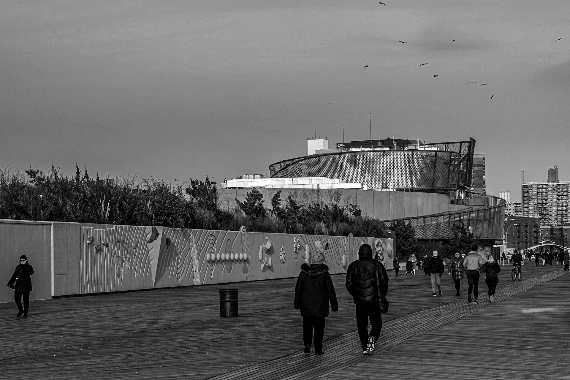 Here are some images Coney Island NY, Watch for more to come!If You Like What You See Please Follow Me on Instagram!Prints and Images available#NotYourAvgPhotoJoewww.instagram.com/notyouravgjoewww.instagram.com/notyouravgjoe.neonAll Right ReservedAll Images © Joe Pellicone, Images may be shared on social media with credit. For information about Prints or Commercial use of these images, please message me or email NotYourAvgPhotoJoe@gmail.com#coneyisland #brooklyn #nyc #newyork #newyorkcity #ny #ig #coneyislandboardwalk #bigapple #coneyislandbeach #lunapark #thewarriors #canyoudigit #instagram #nycity #newyorker #baseballfuries #cyclone #sandmanfury #thebigapple