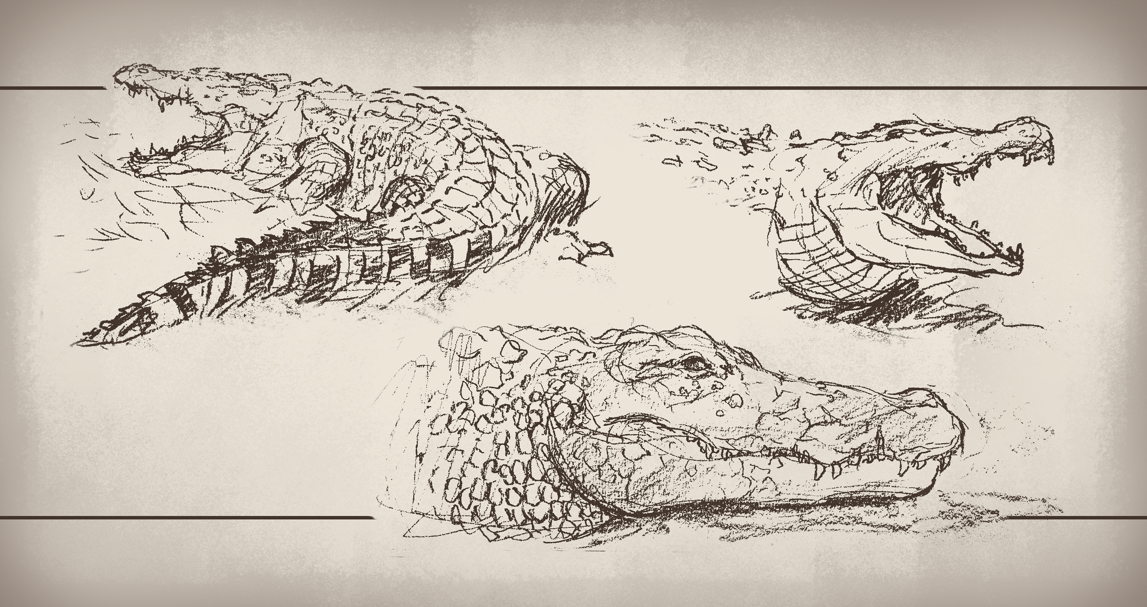 Animals (Crocodile)
