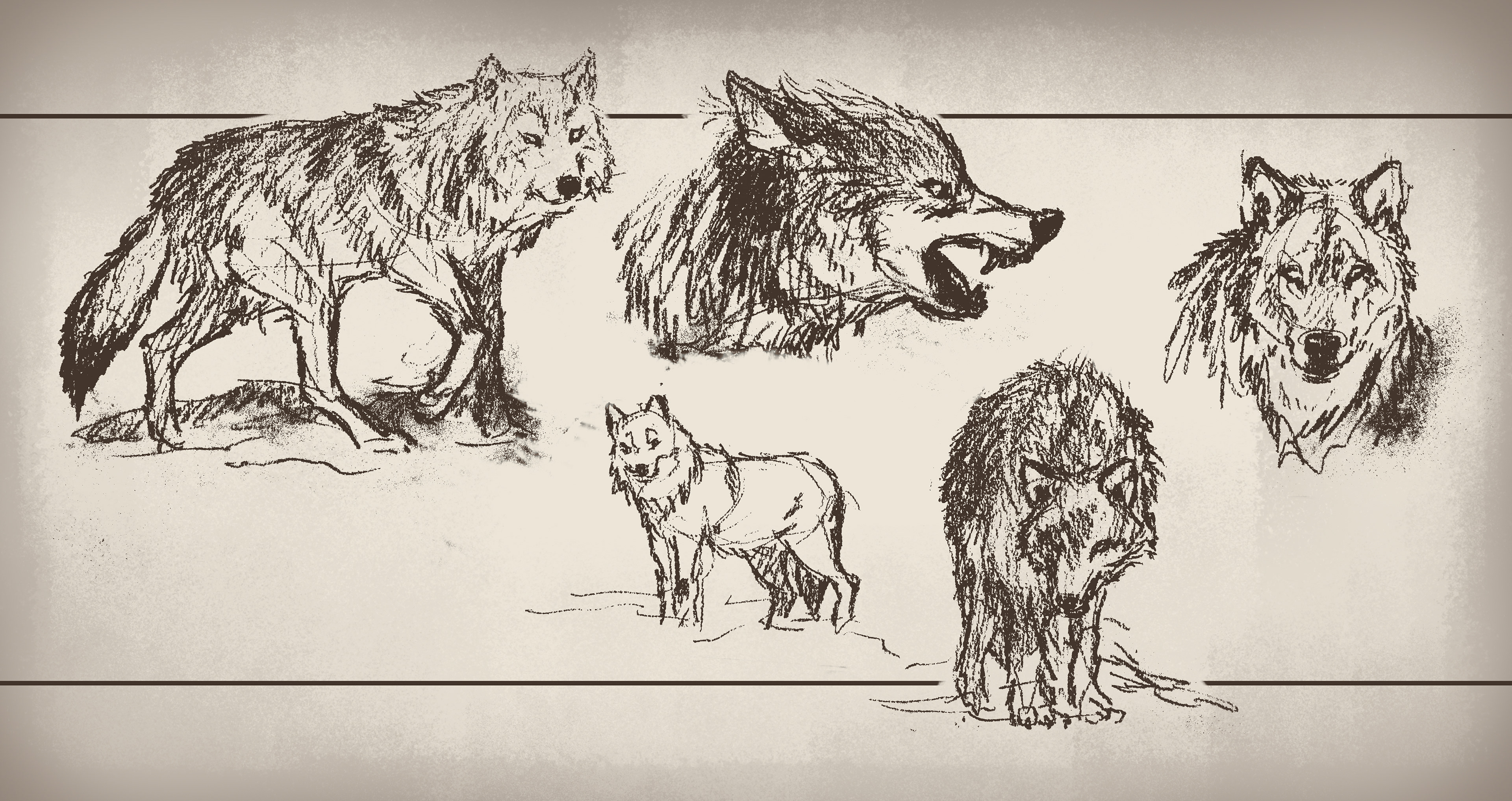 Animals (Grey Wolf)