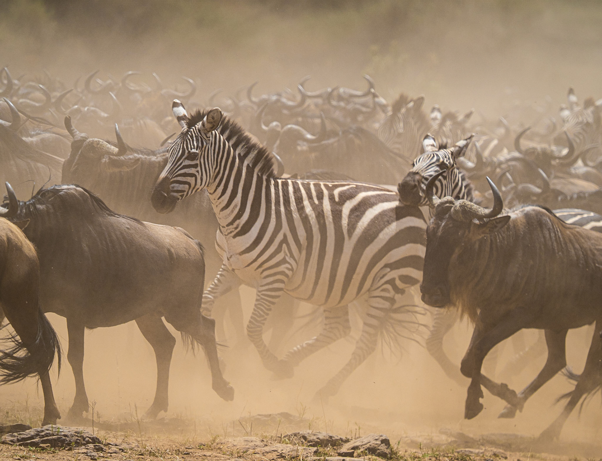 Heading for the Crossing