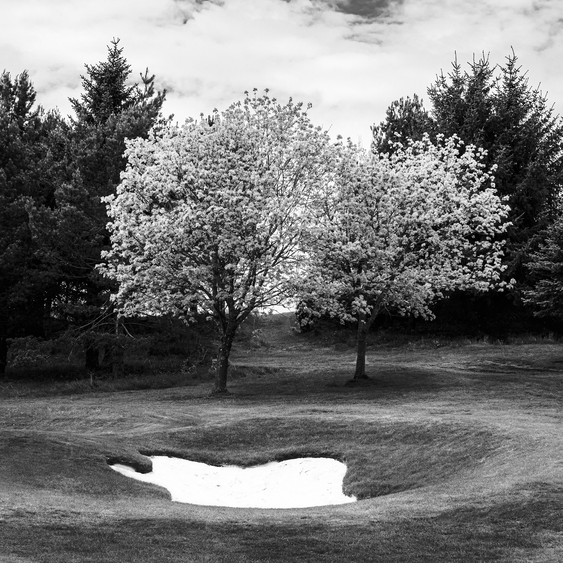 Images of Mortonhall Golf Course taken during Coronavirus Lockdown 2020