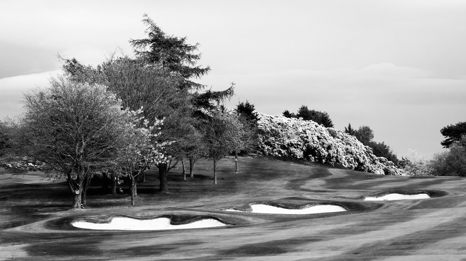 Images of Mortonhall Golf Course taken during Coronavirus Lockdown 2020