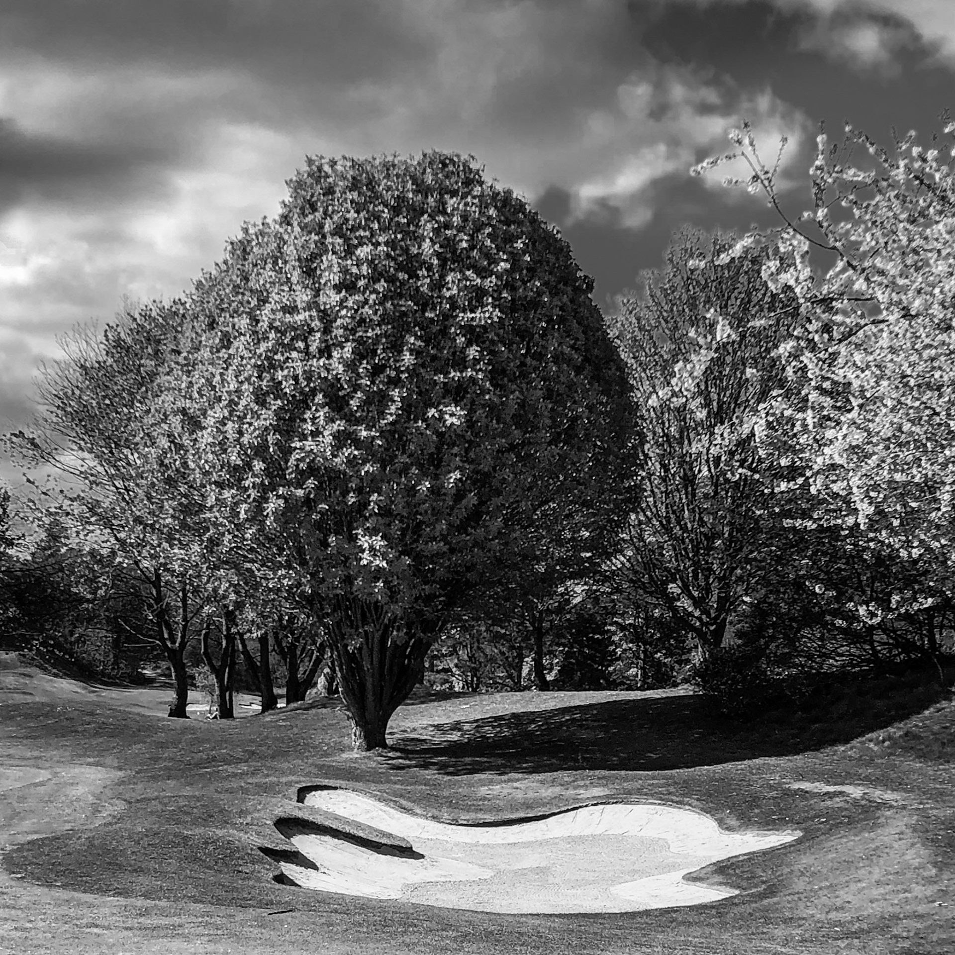 Images of Mortonhall Golf Course taken during Coronavirus Lockdown 2020