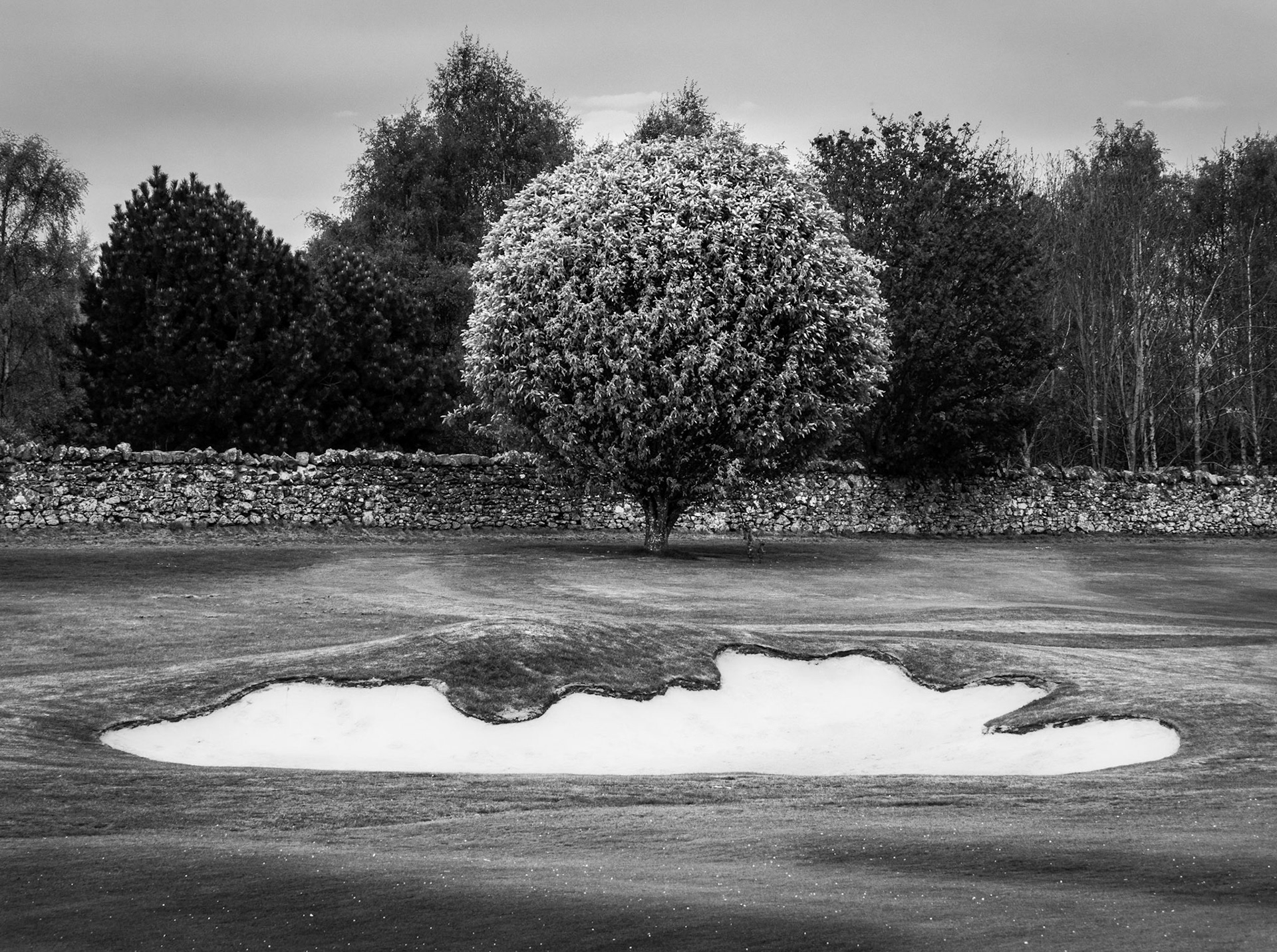 Images of Mortonhall Golf Course taken during Coronavirus Lockdown 2020