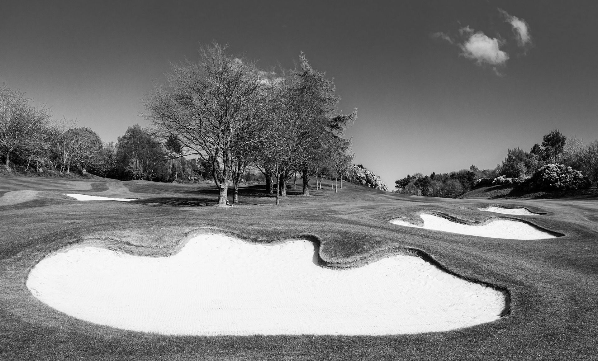 Images of Mortonhall Golf Course taken during Coronavirus Lockdown 2020