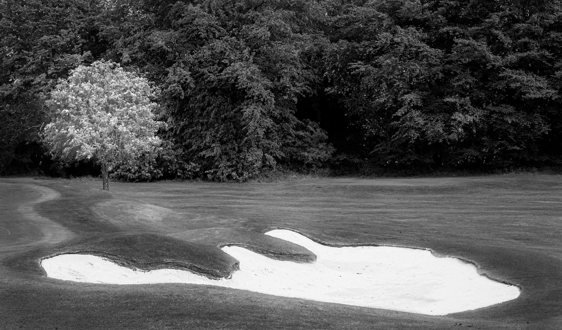 Images of Mortonhall Golf Course taken during Coronavirus Lockdown 2020