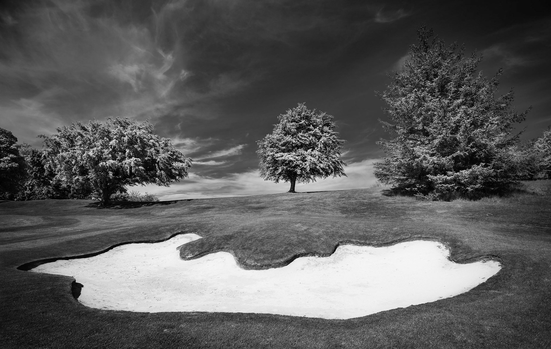 Images of Mortonhall Golf Course taken during Coronavirus Lockdown 2020