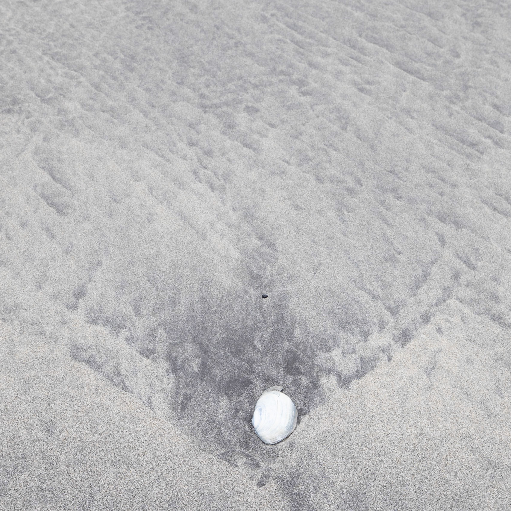 On Laig Beach