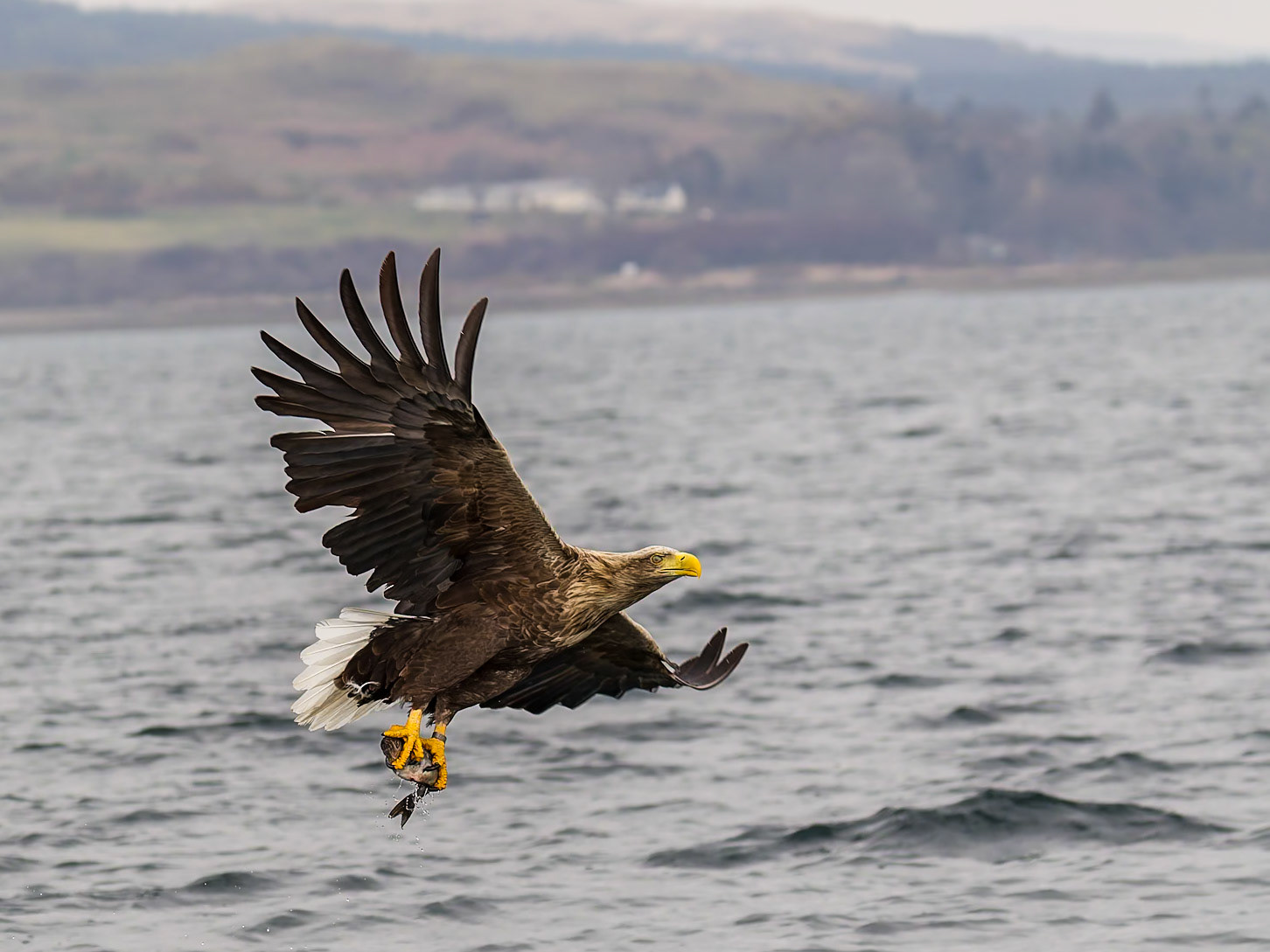 Isle of Mull, Scotland