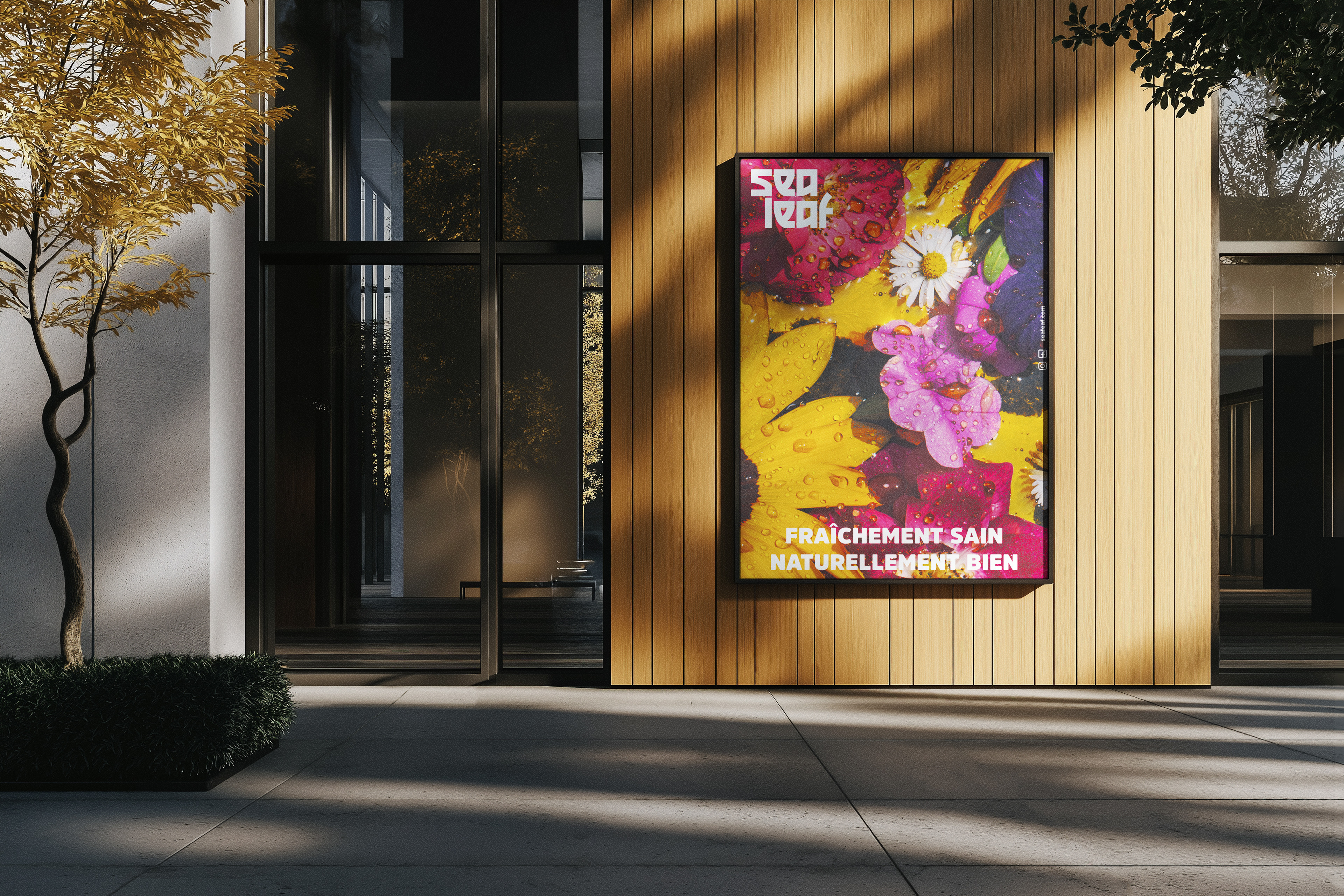 Sauge et miel et fleurs sauvages
