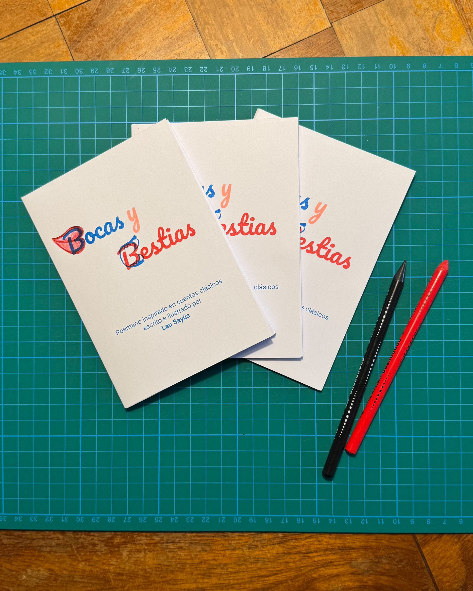"Bocas y bestias", a risograph-printed fanzine.