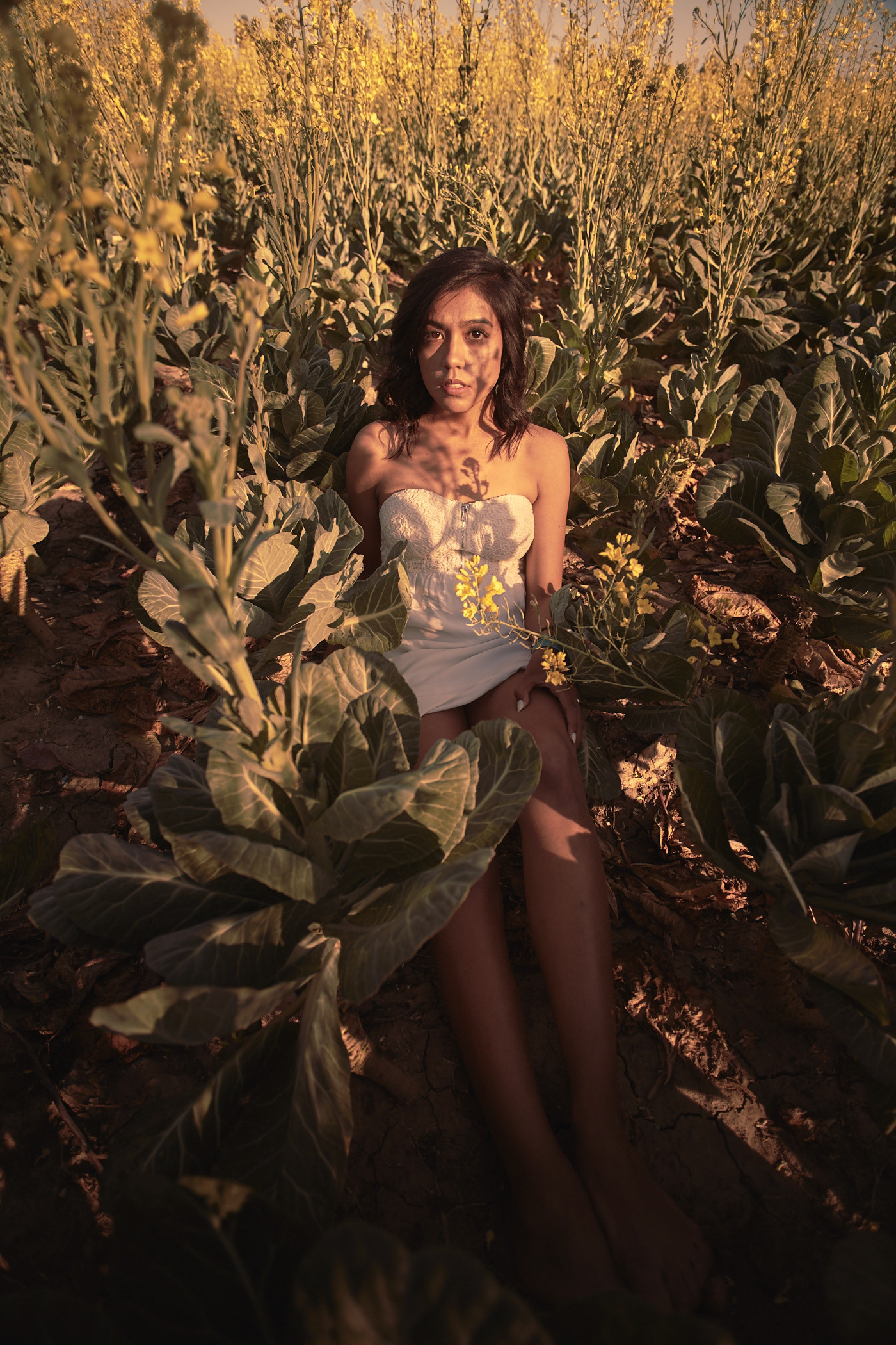 Beautiful girl lying in field.  Photo by Modern Human