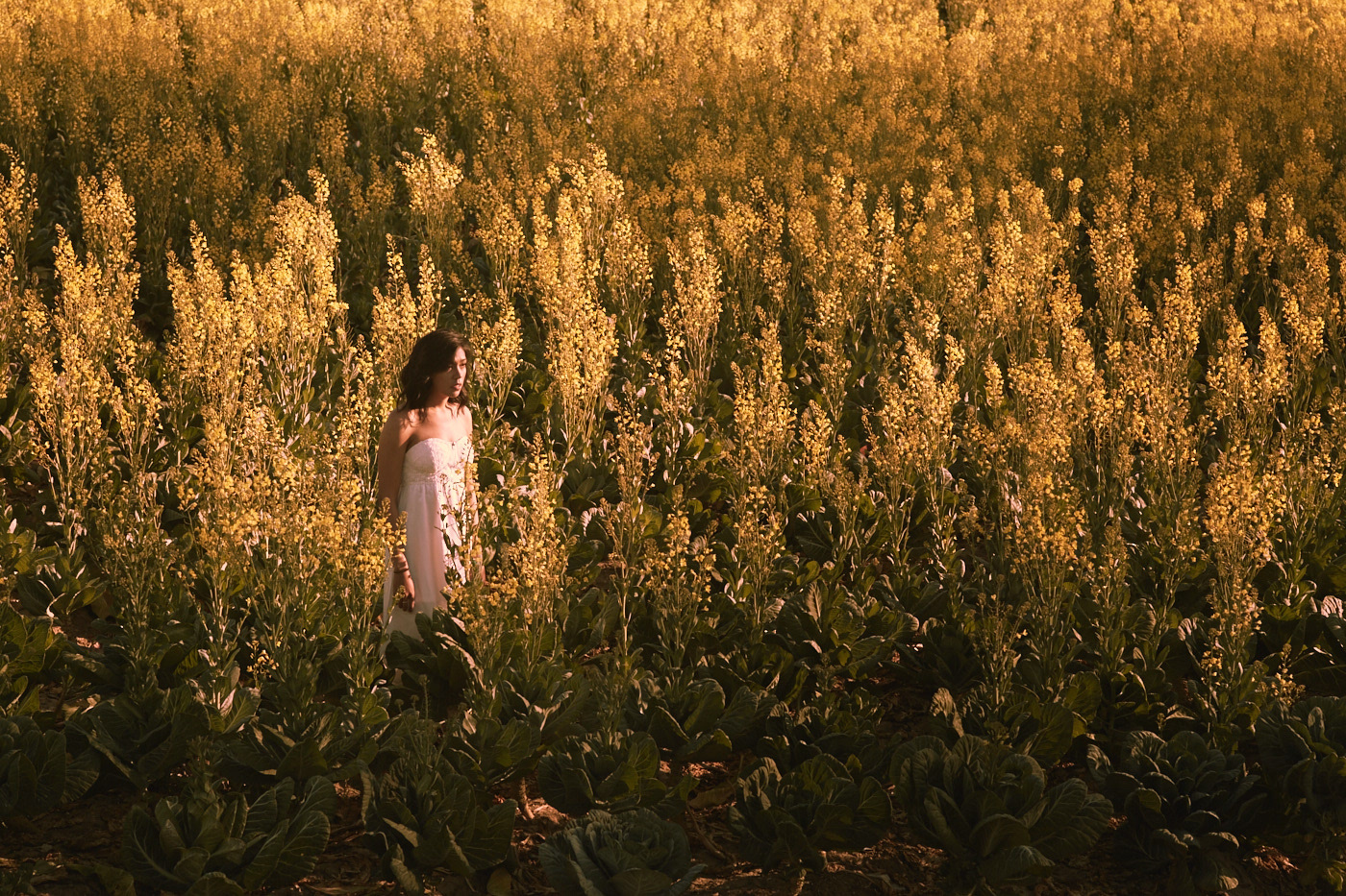 Beautiful girl standing in field.  Photo by Modern Human