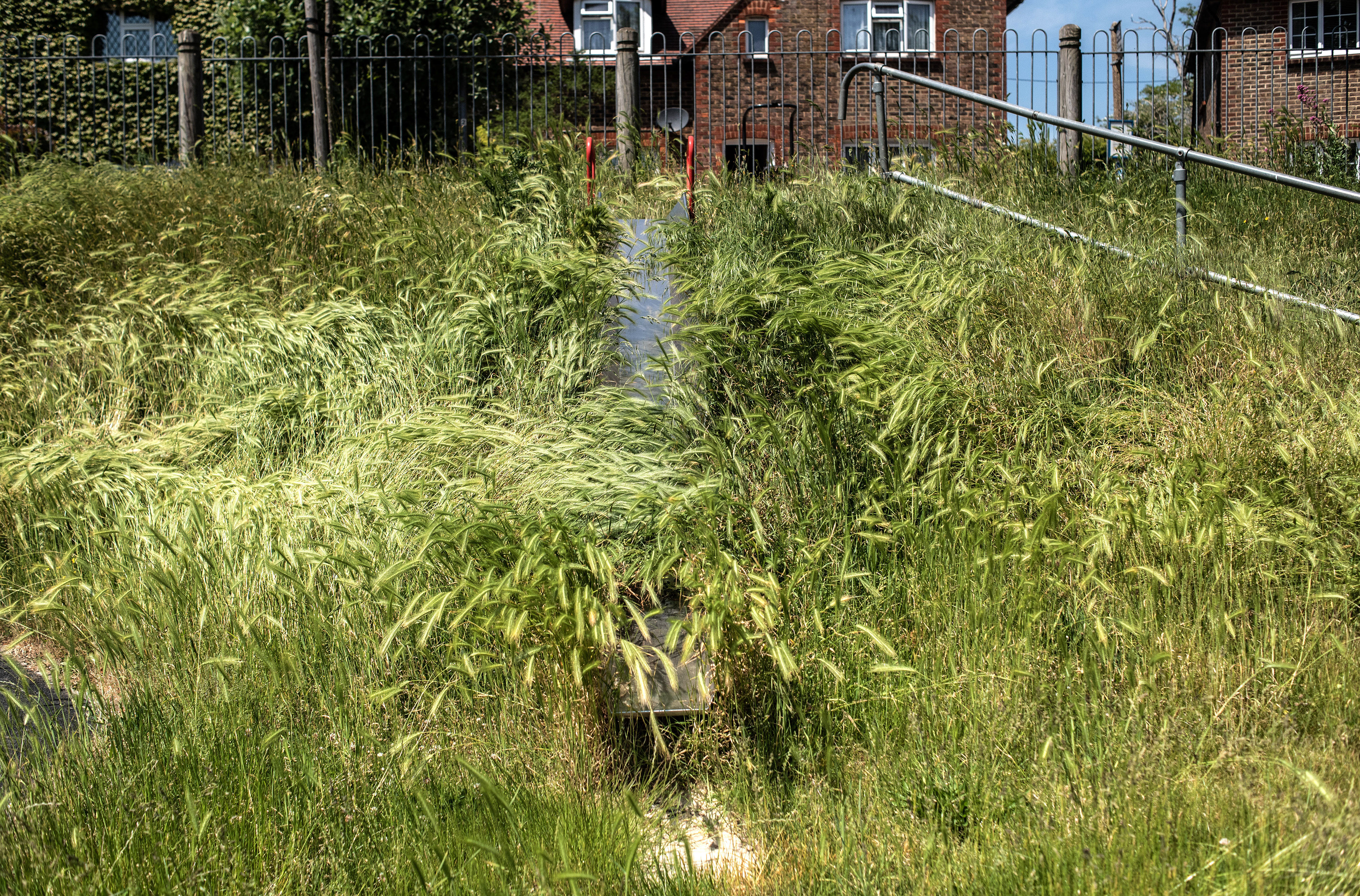 Neville, Lewes