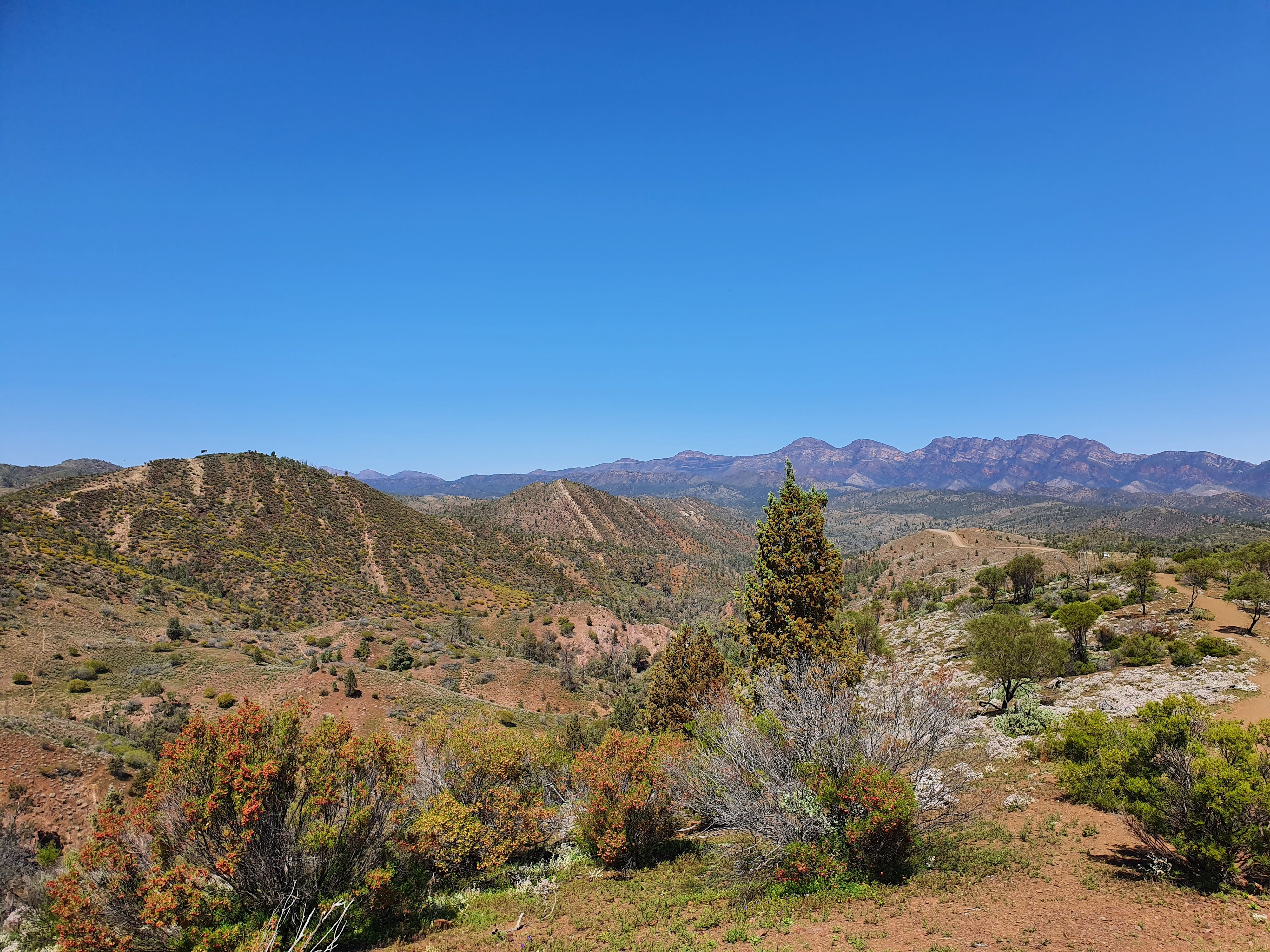 Flinder's Ranges, SA