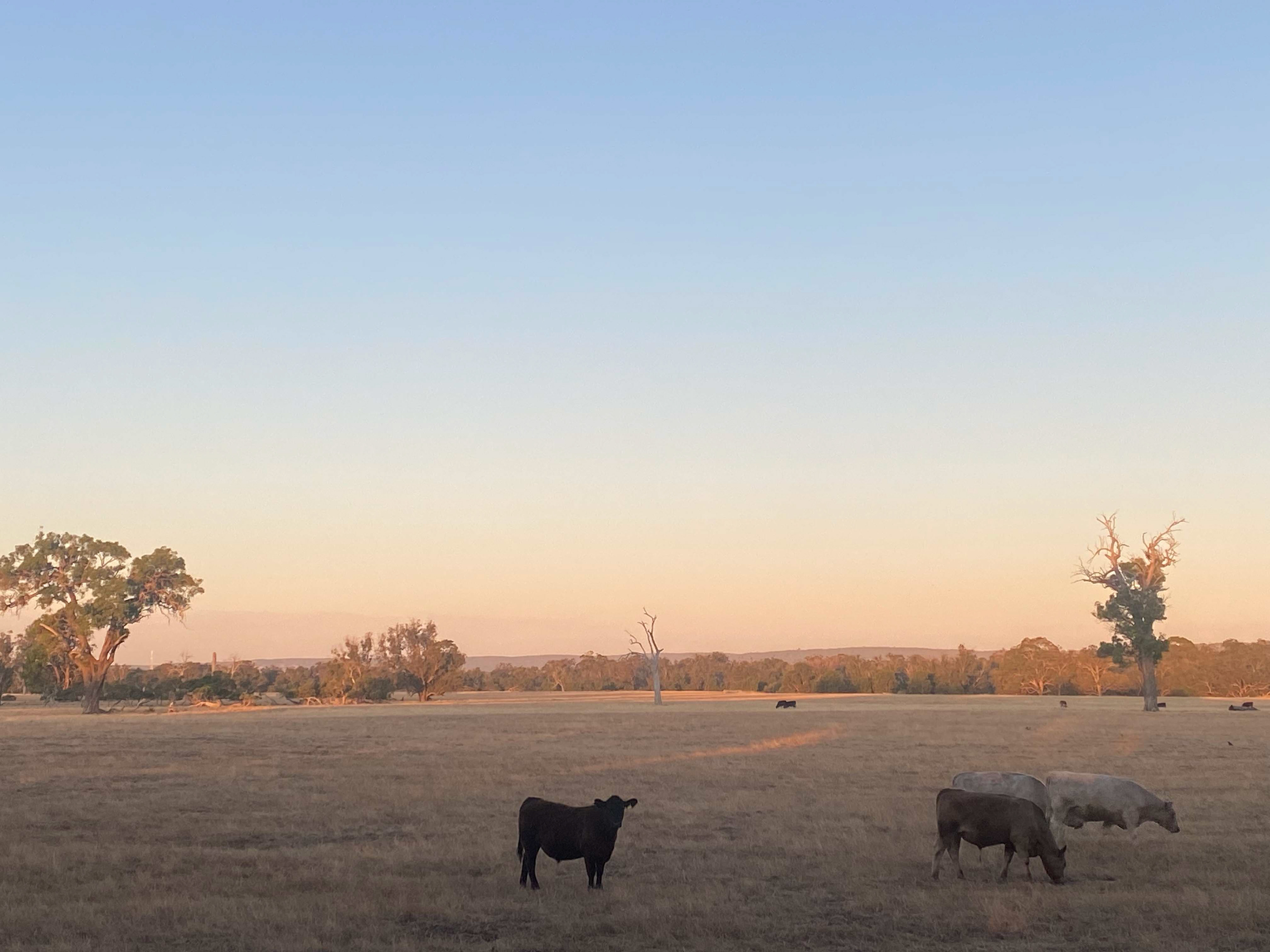 A rest area in WA (Christmas Eve)