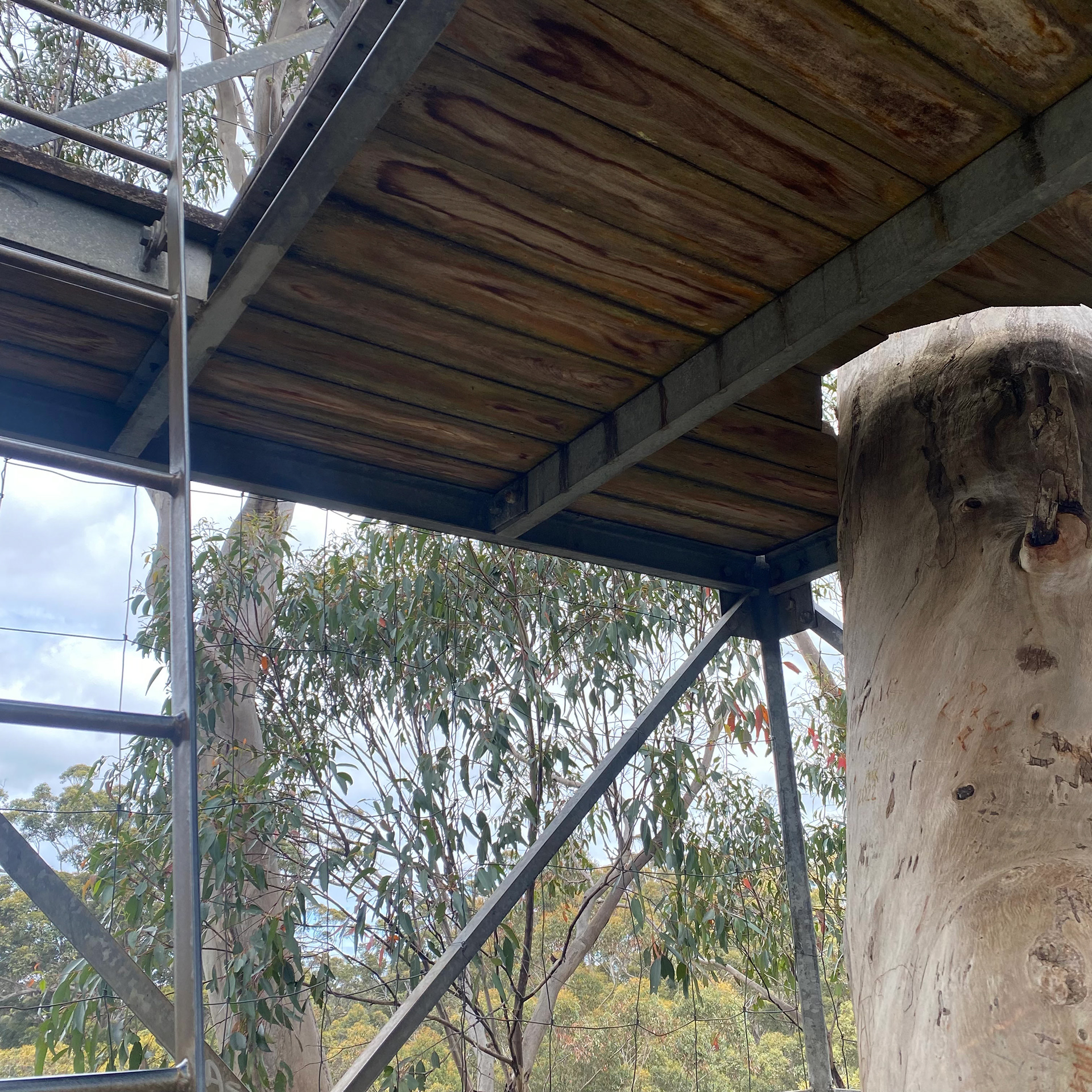 Warren National Park, WA