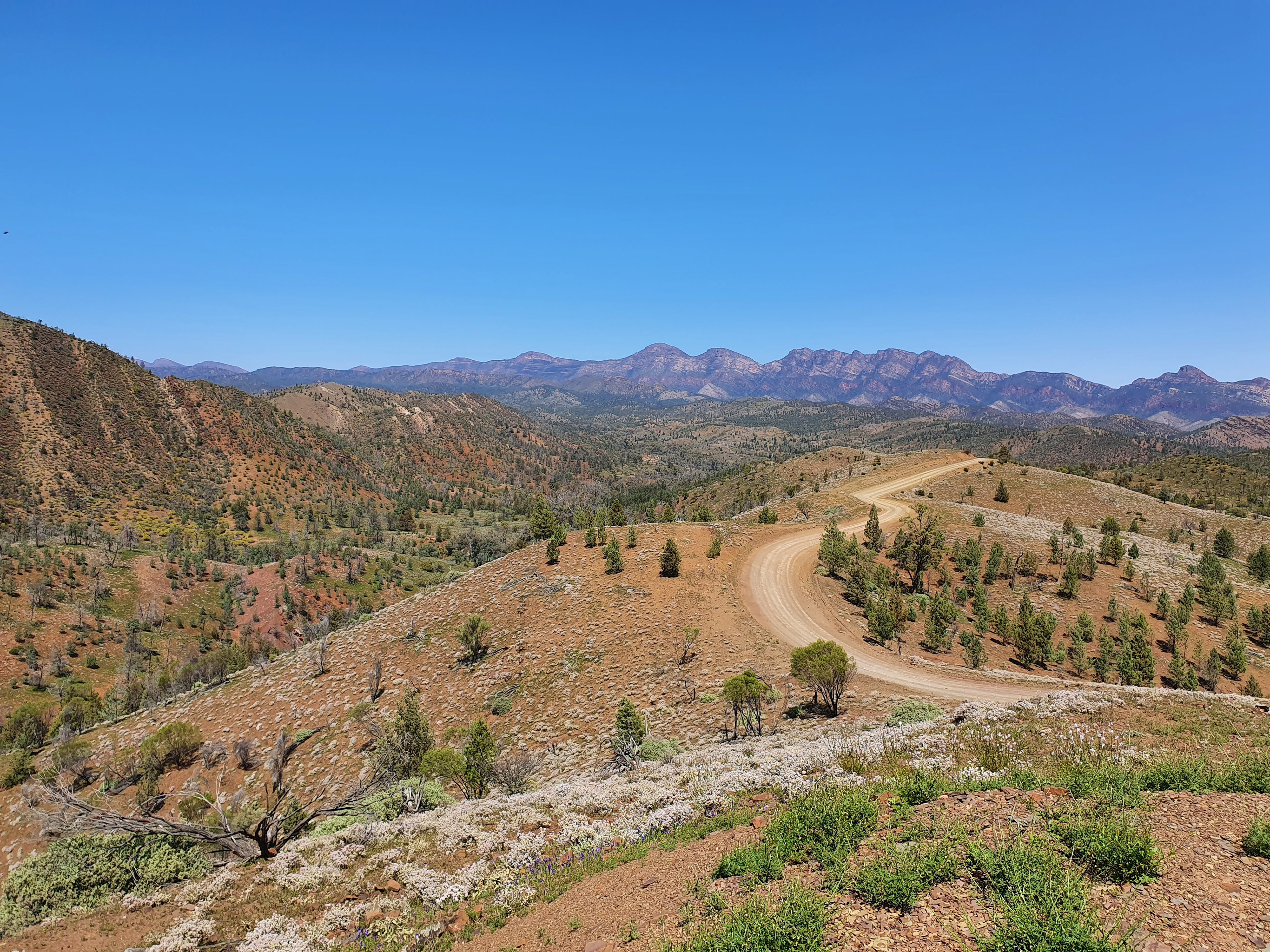 Flinder's Ranges, SA