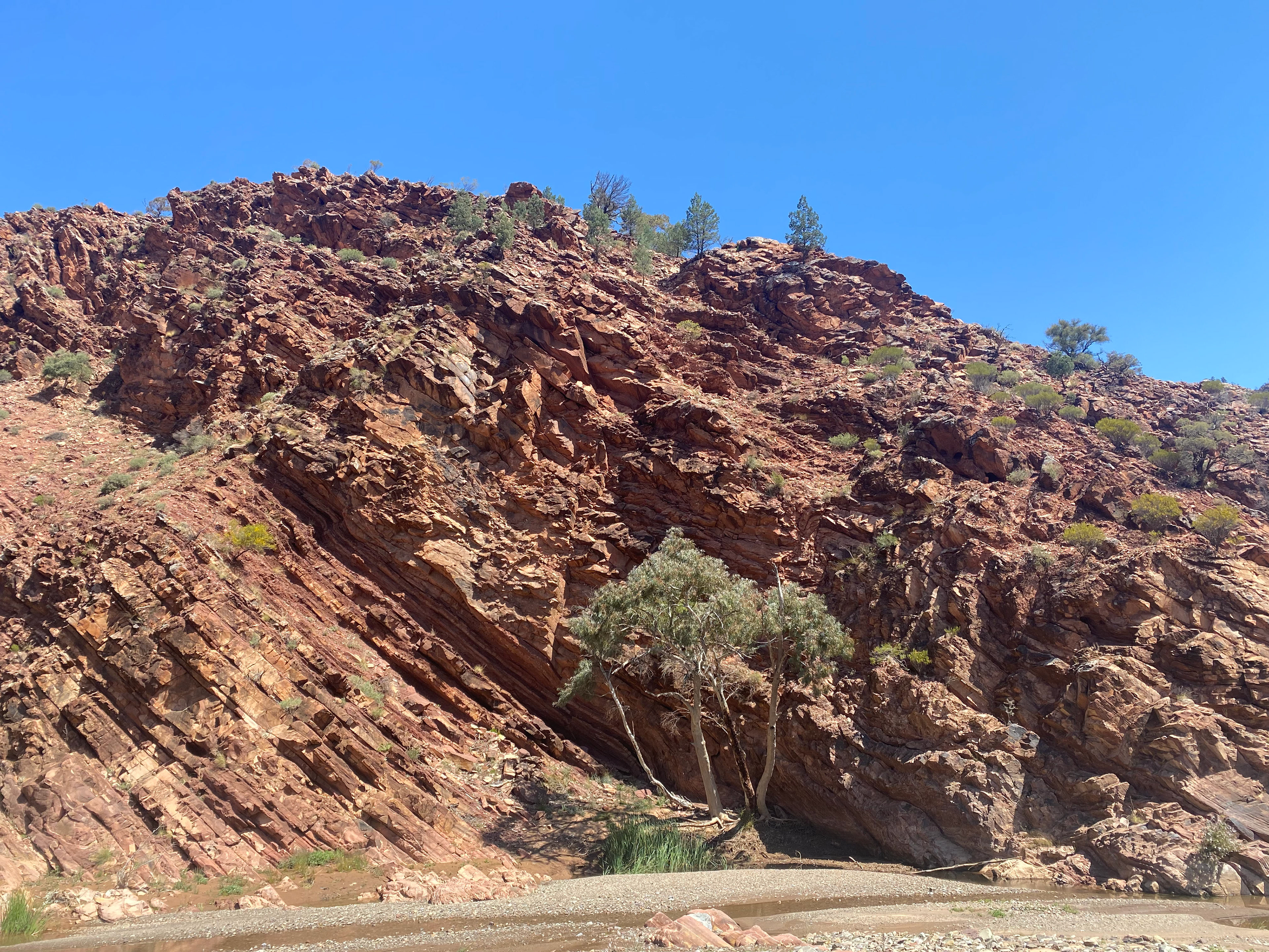 Flinder's Ranges, SA