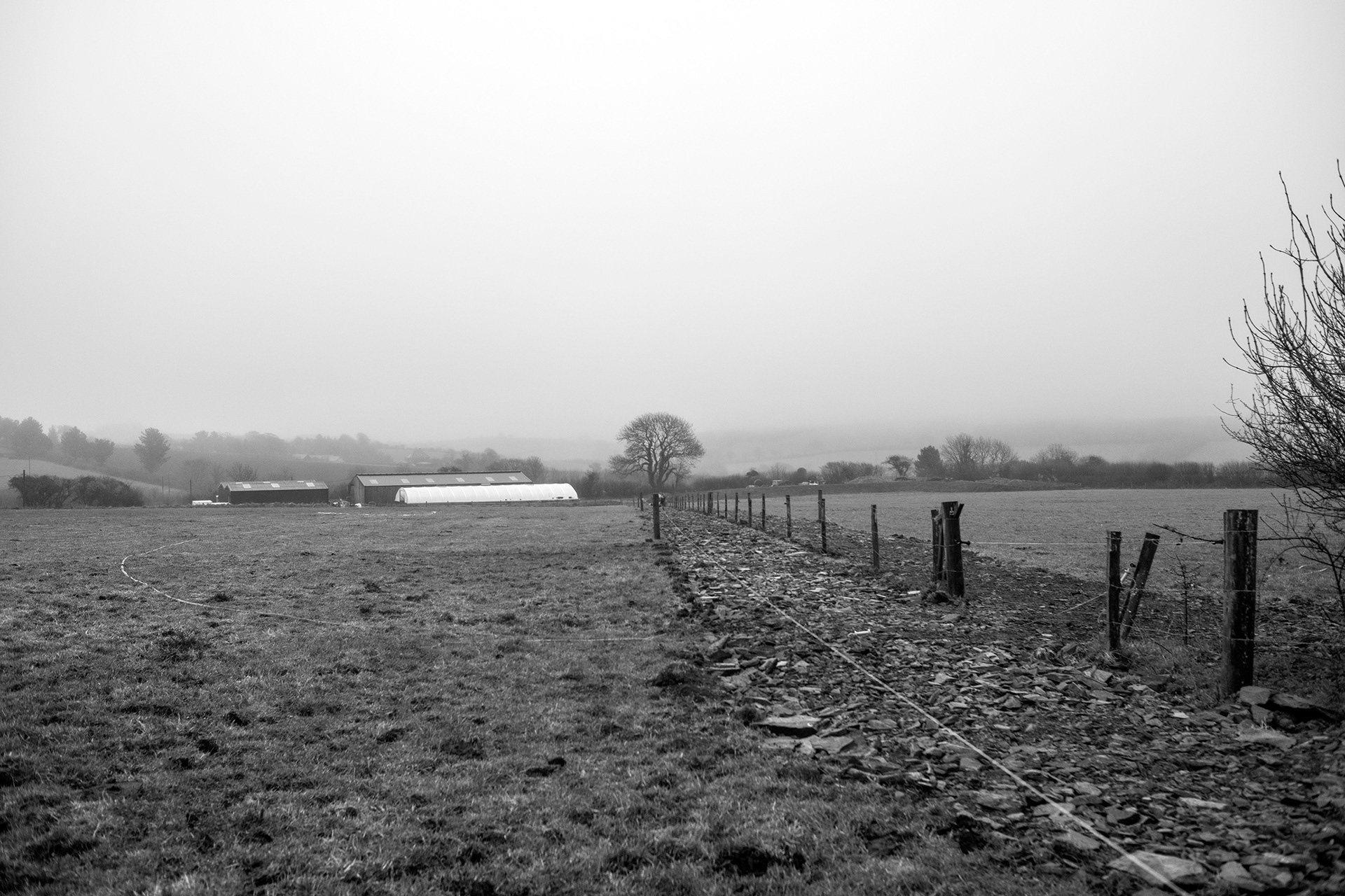 How Now Dairy