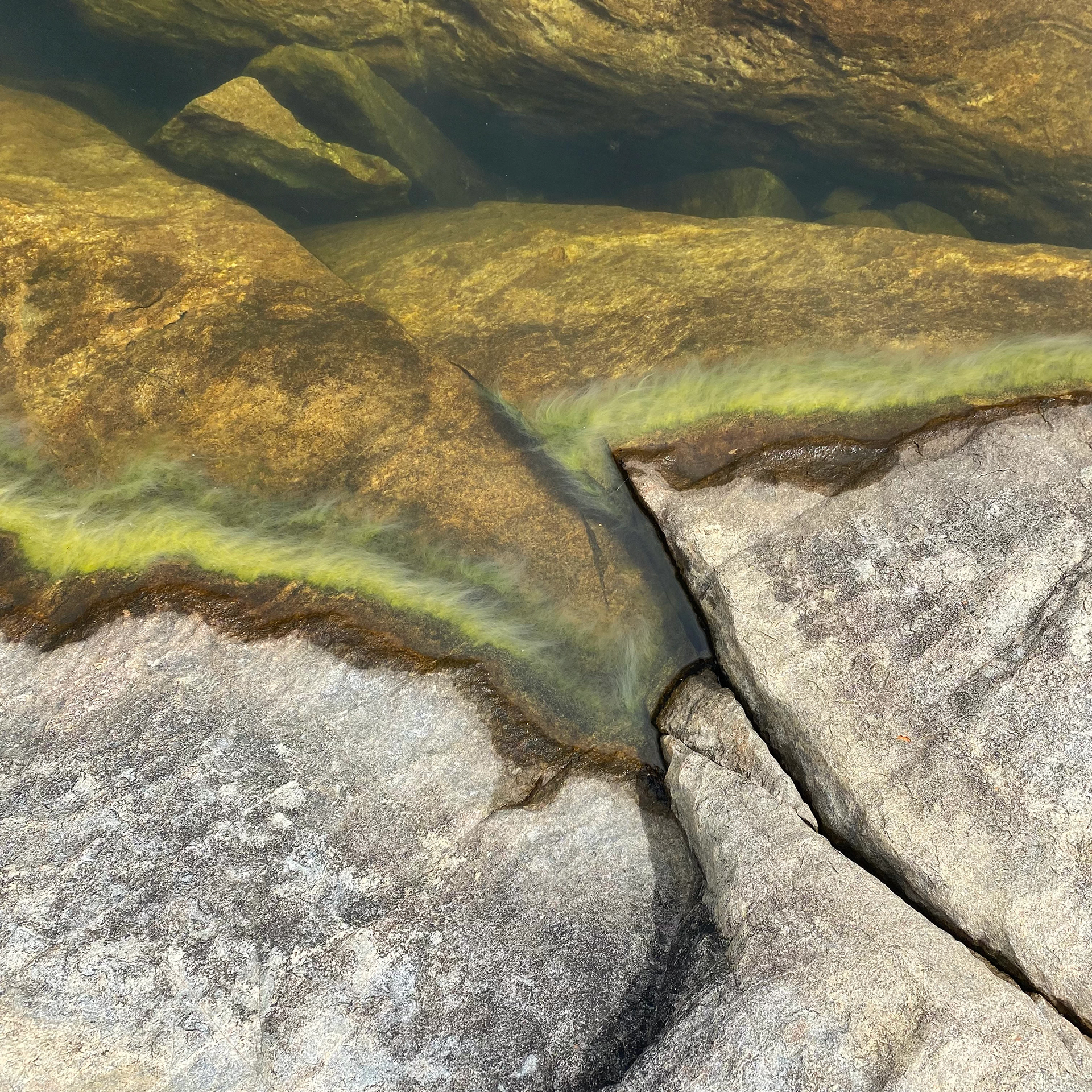 Two People's Bay National Park, WA