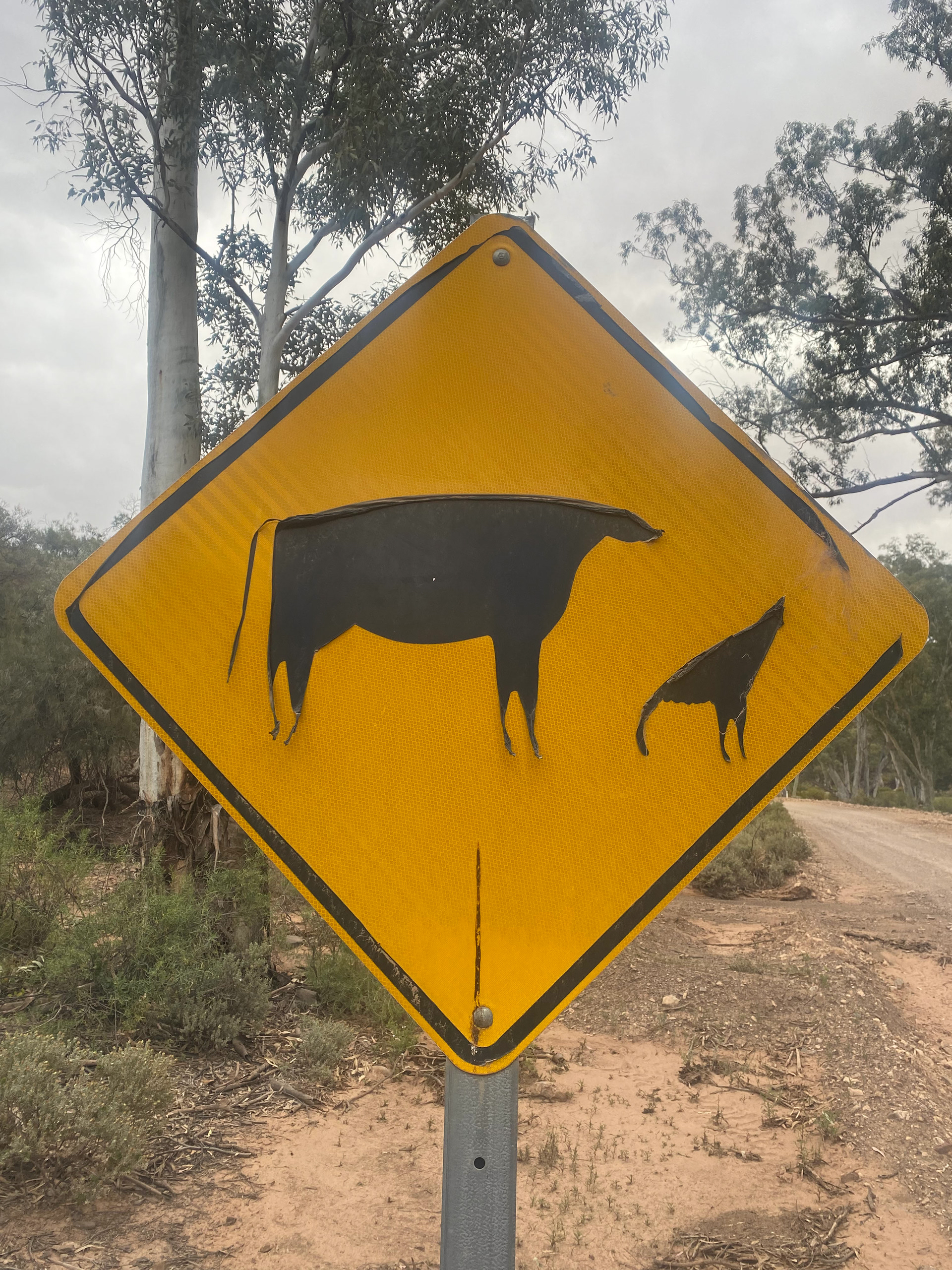 Flinder's Ranges, SA