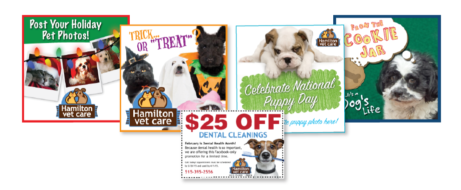 Hamilton best sale vet care