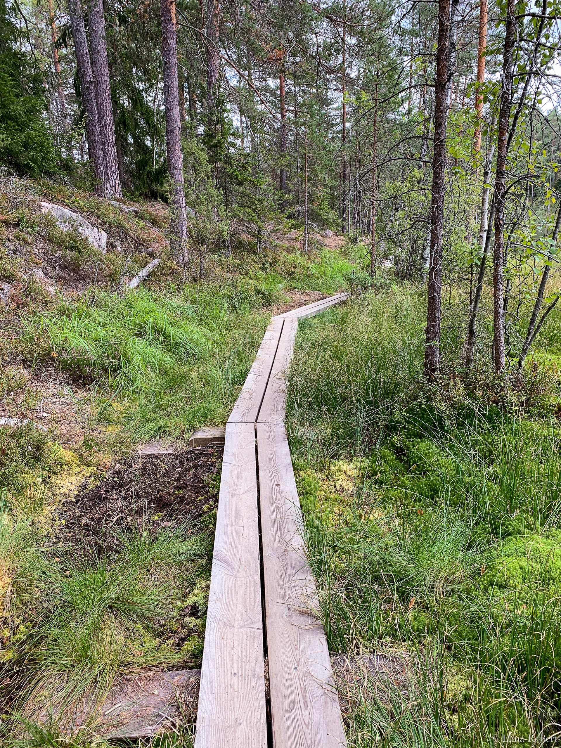 Haukkalampi, Nuuksio