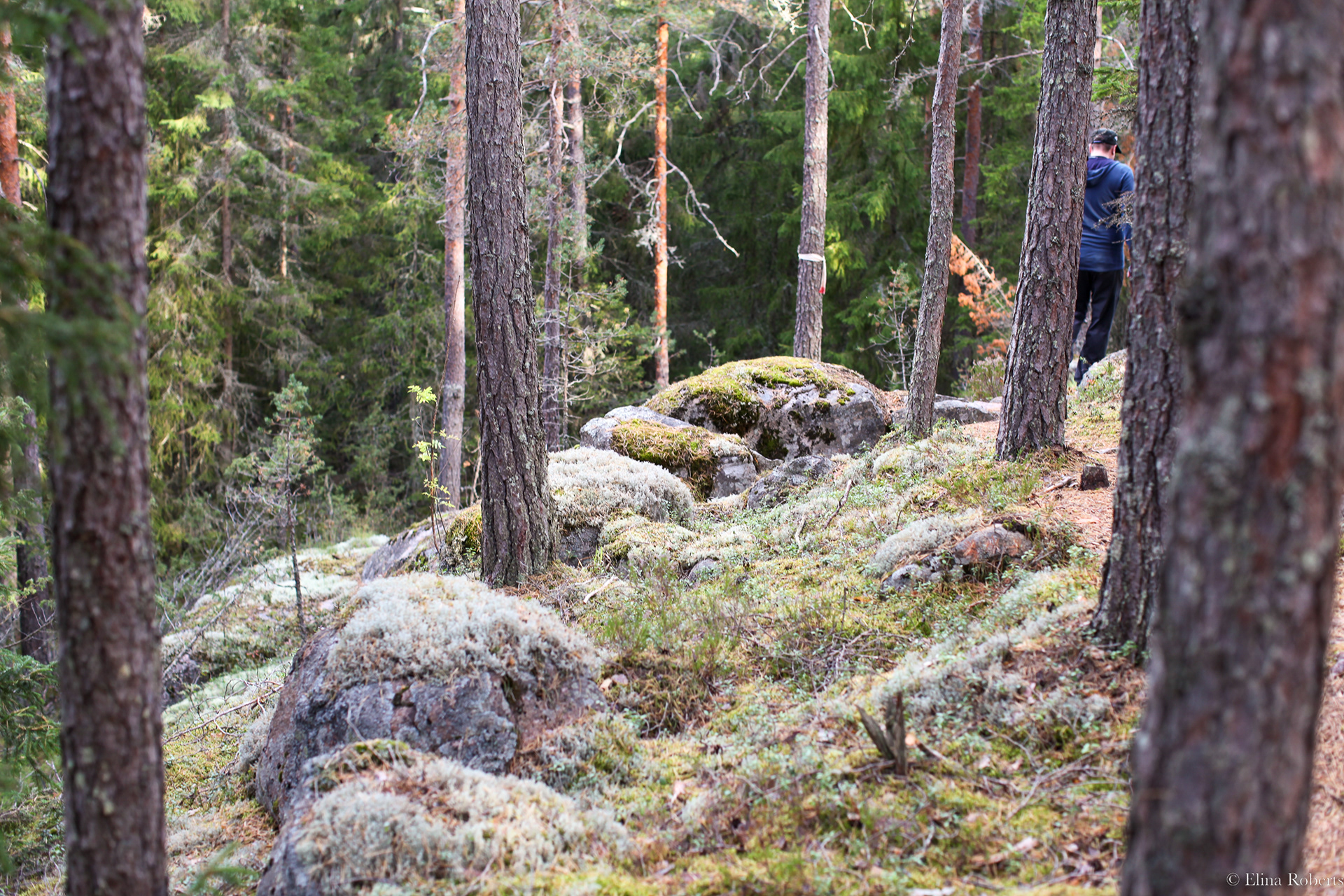 Haukkamäki, Nuuksio
