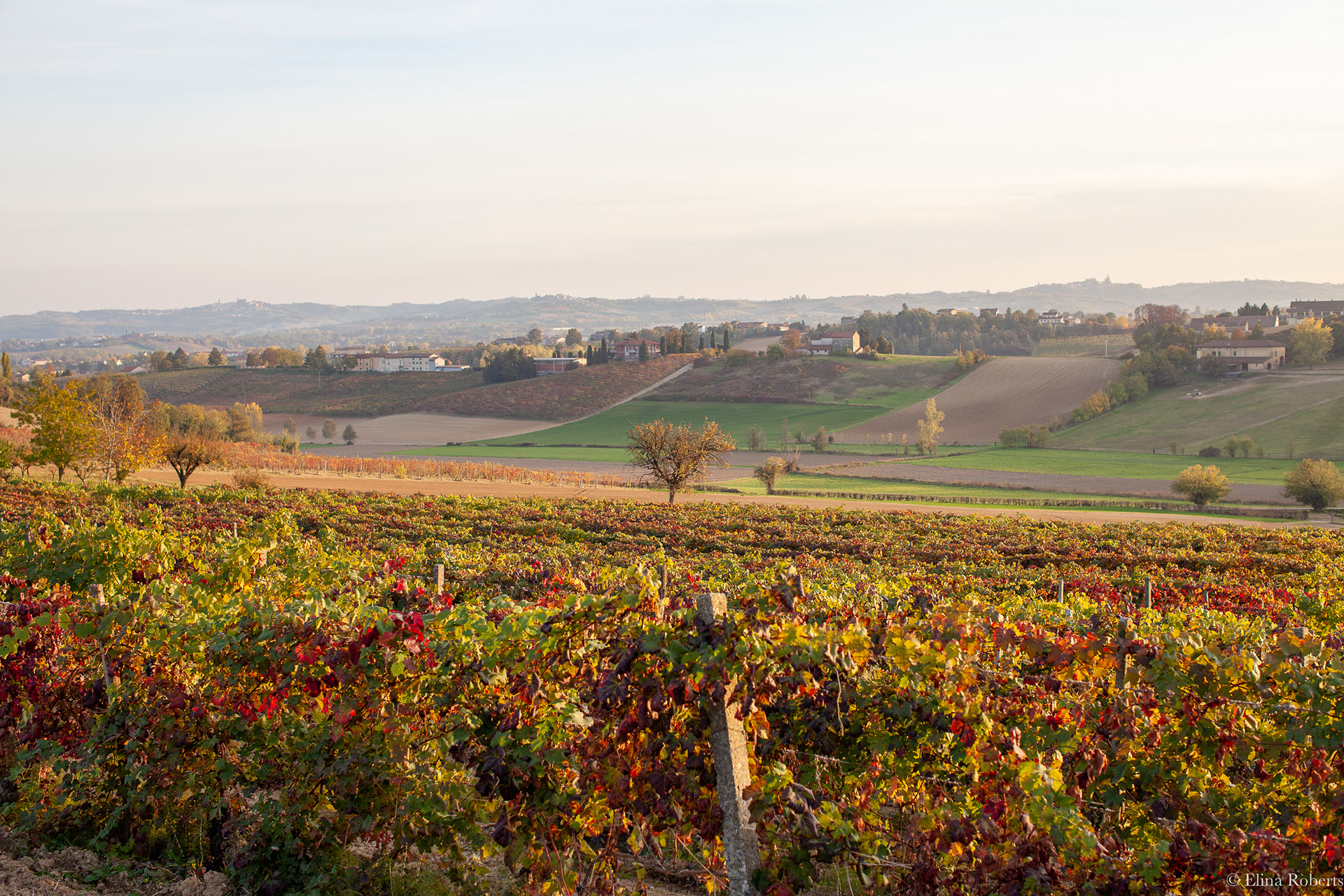 Casale Monferrato