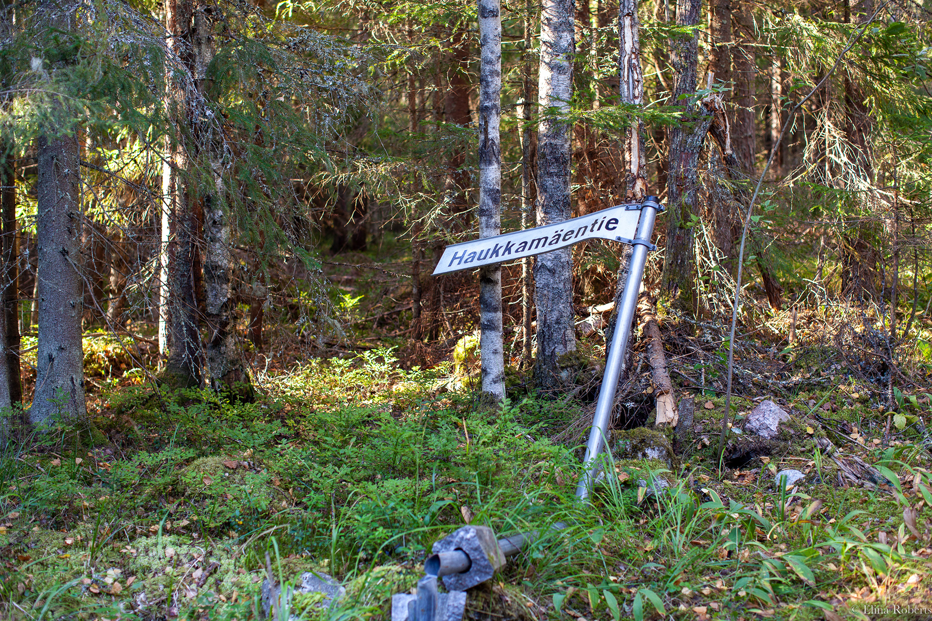 Haukkamäki, Nuuksio