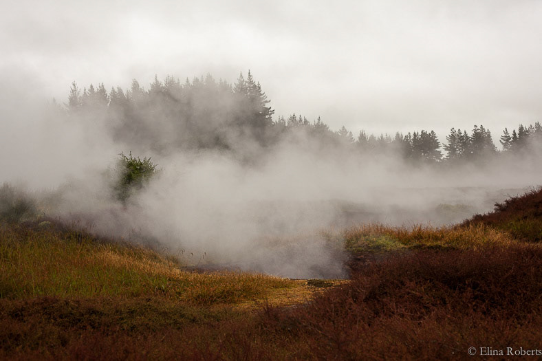 Craters of the Moon